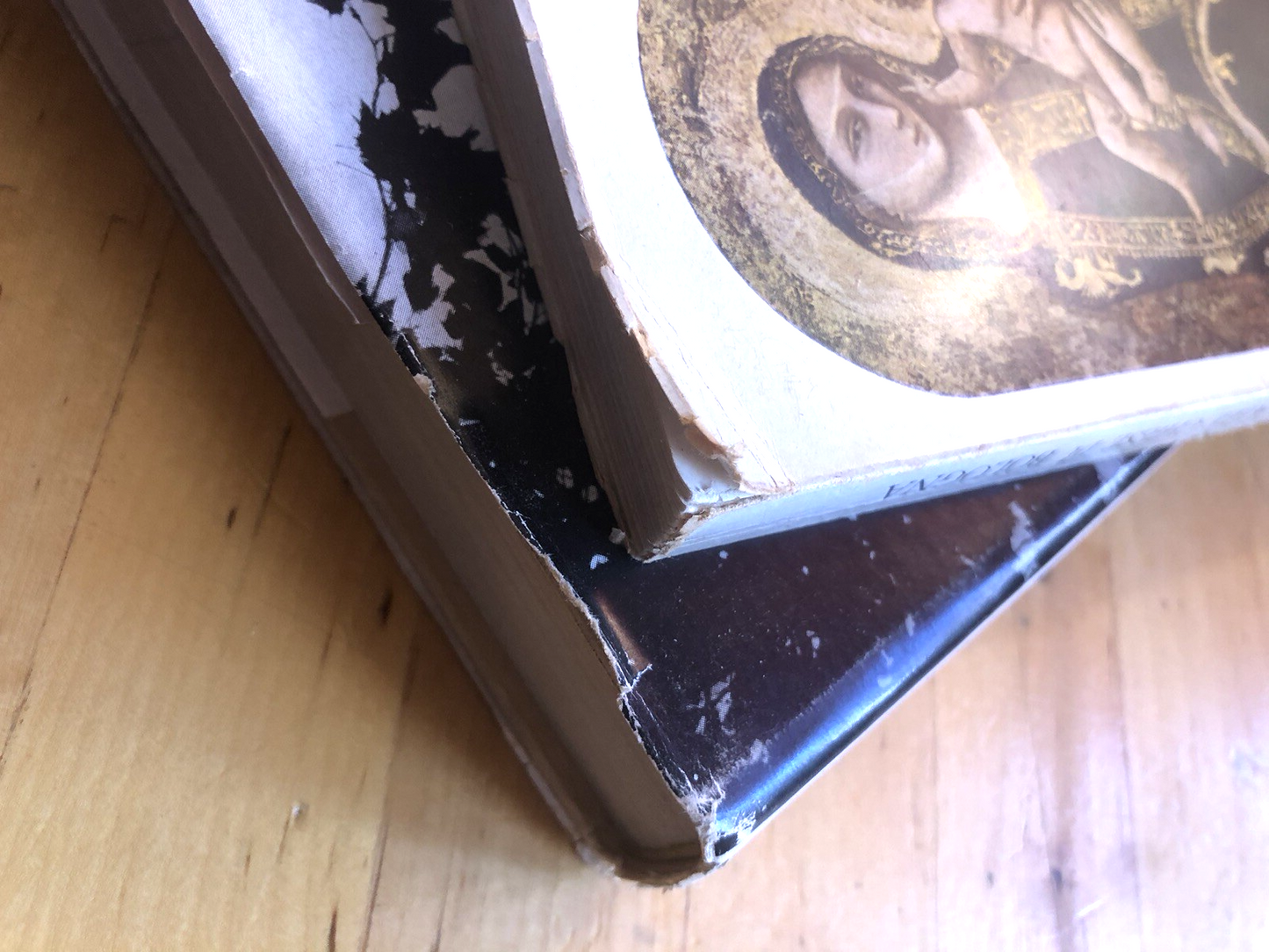 Beseghi Umberto, Castelli e ville bolognesi, introduzione alle Chiese di Bologna