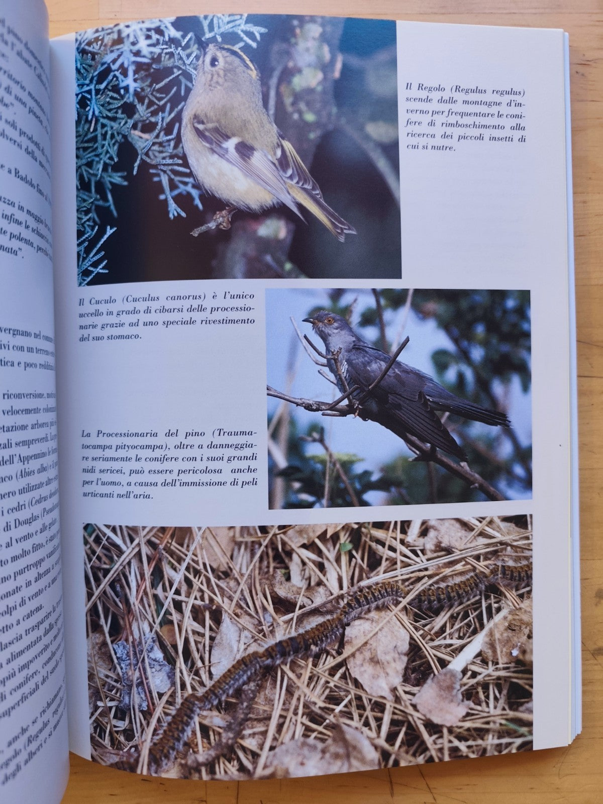 C'era una volta il mare. . . natura e storia tra il Sasso e il Monte delle Formi