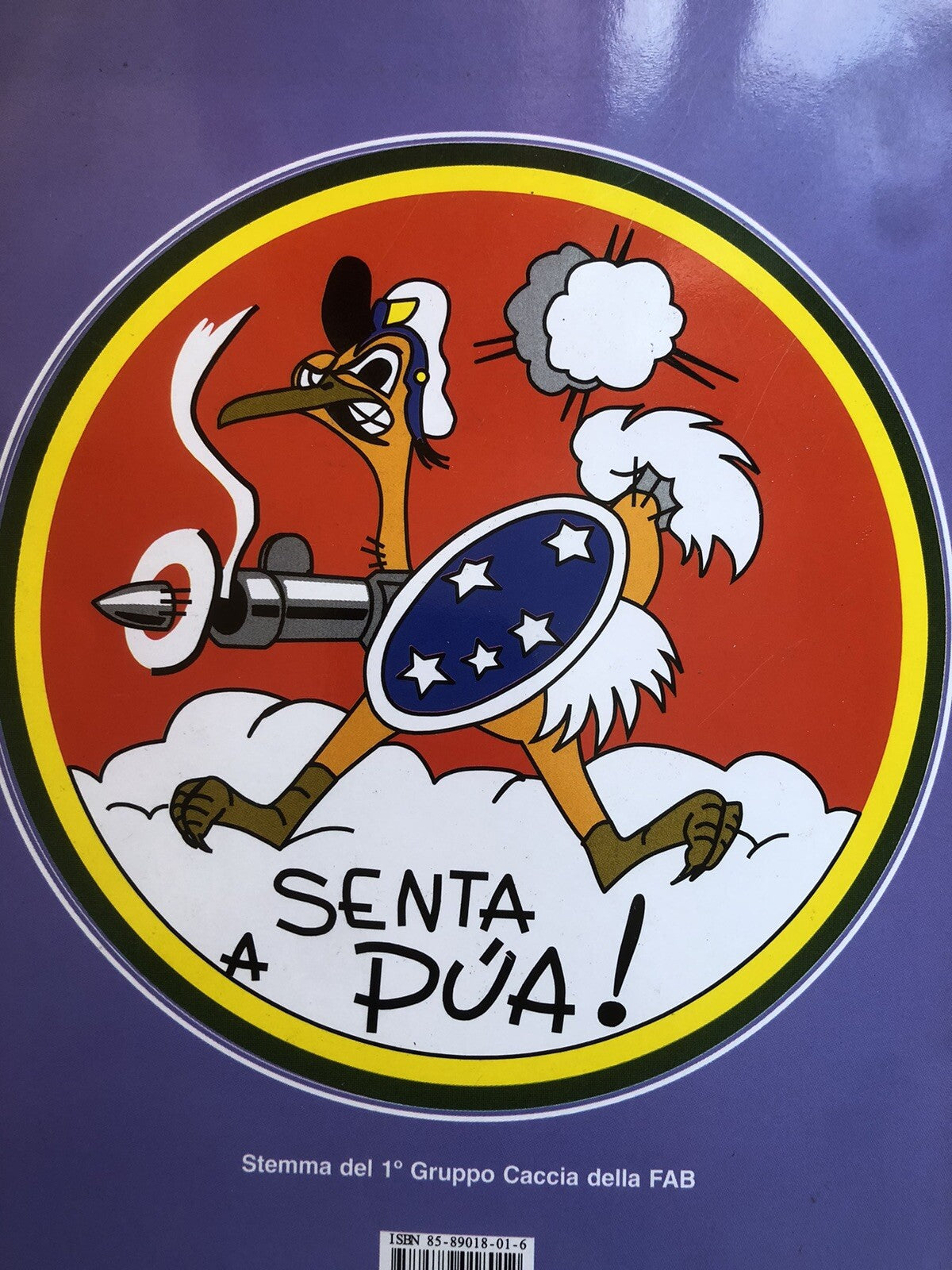 La forza aerea Brasiliana durante la seconda guerra mondiale, Cecomsaer Editora