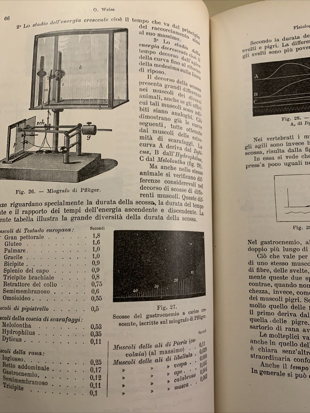 MANUALE DI FISIOLOGIA DELL'UOMO - ZUNTZ, LOEWY 1918  - - 816 PAGINE. UTET #