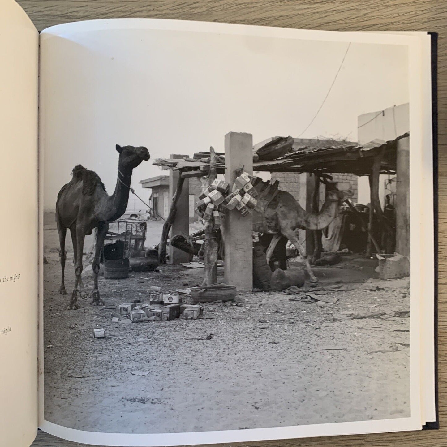 YEMEN - FABIO RANGONI. EDIZIONI DAMIANI 2006