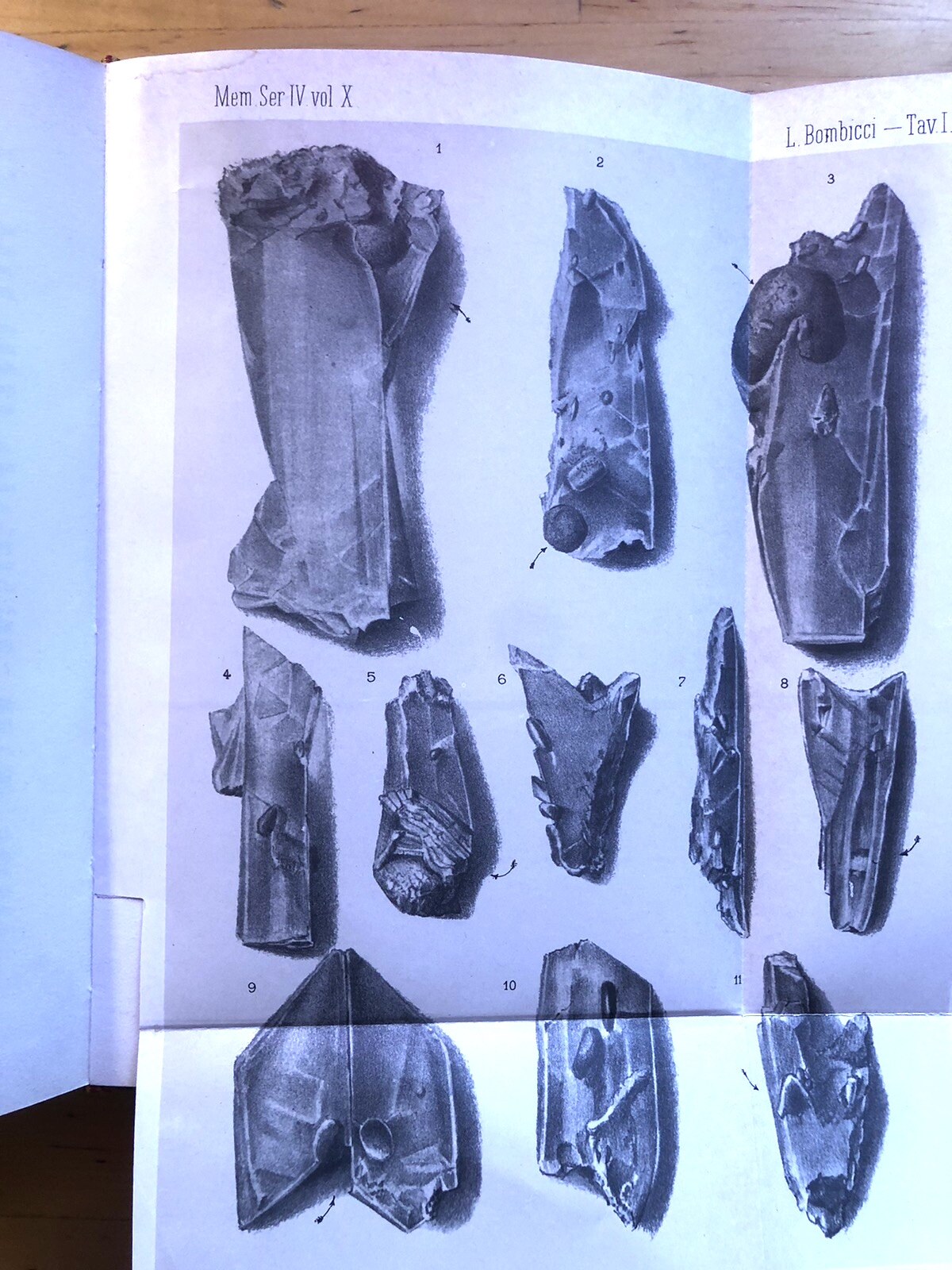 Mineralogia Bolognese, Luigi Bombicci - Atesa editrice. Athos Vianelli 1976