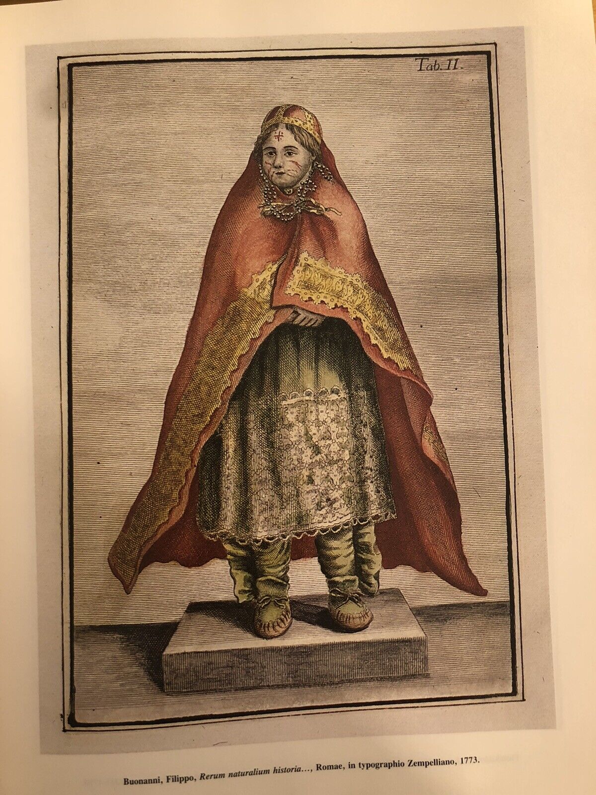 BIBLIOTHECA BOTANICA - LODOVICO CALDESI erbario e libri dal cinquecento al 700