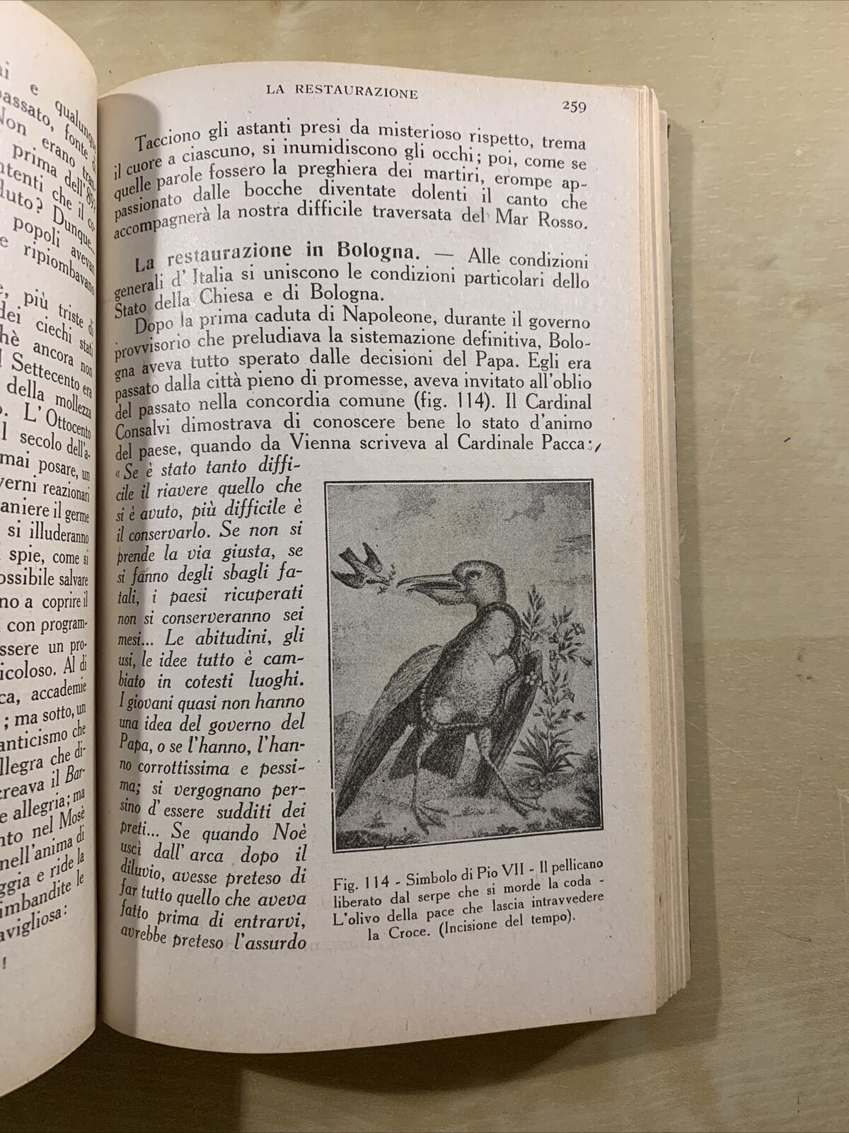 BOLOGNA NELLA STORIA NELL'ARTE E NEL COSTUME - Gida Rossi, Bologna Papale 1928 #
