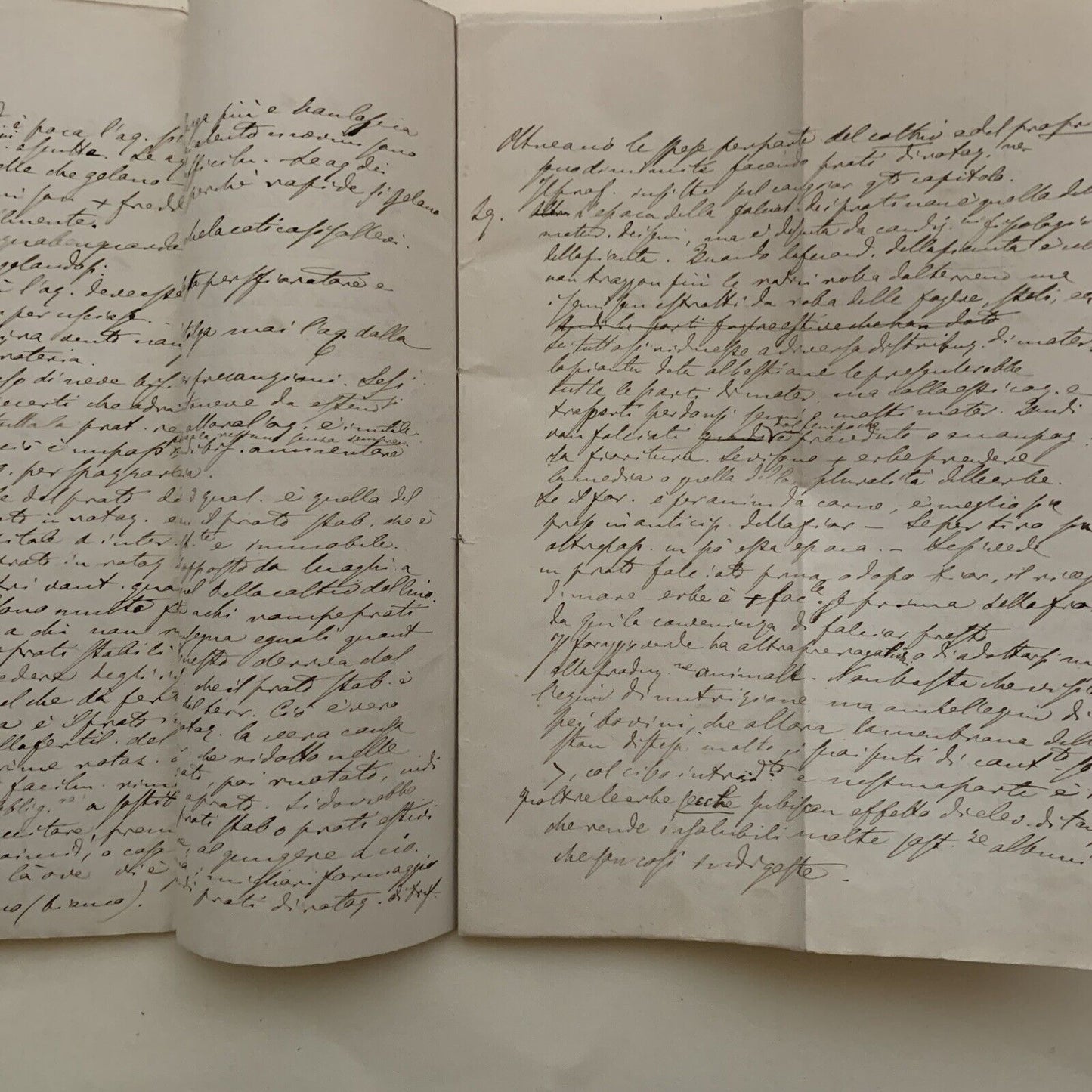 Prof. Gaetano Cantoni ?.  Appunti manoscritti di un suo studente ECONOMIA RURALE