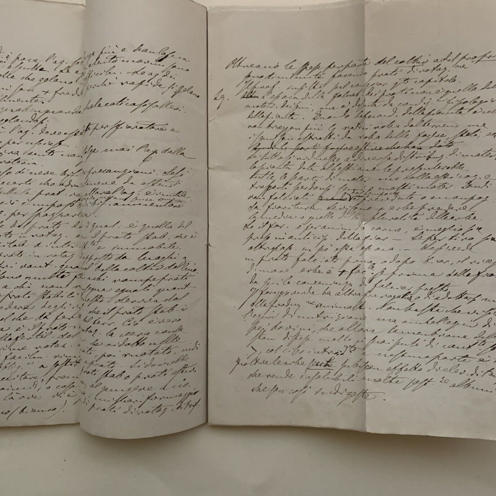 Prof. Gaetano Cantoni ?.  Appunti manoscritti di un suo studente ECONOMIA RURALE