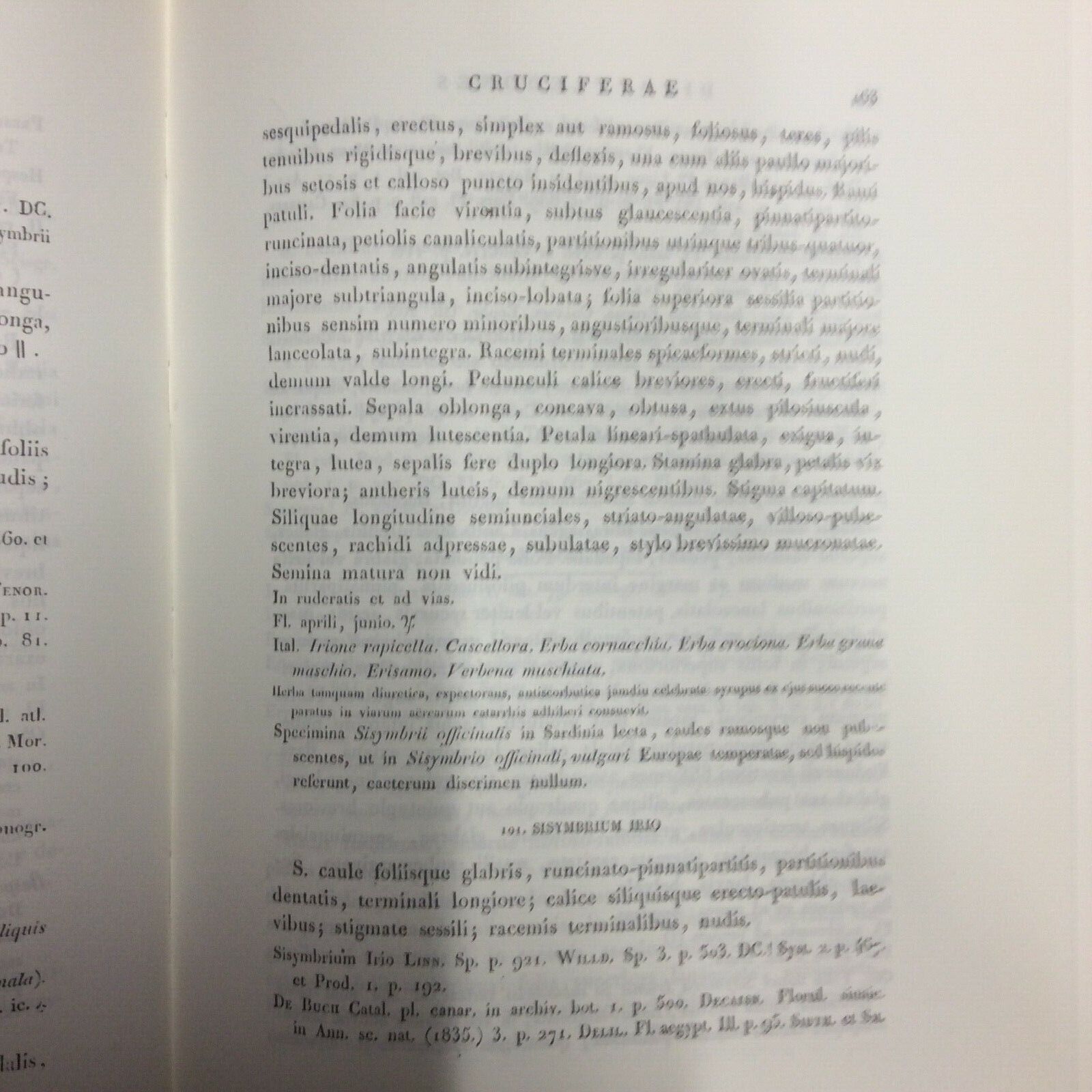 FLORA SARDOA SEU HISTORIA PLANTARUM, JOSEPHO HYACINTHO MORIS, ANASTATICA FORNI
