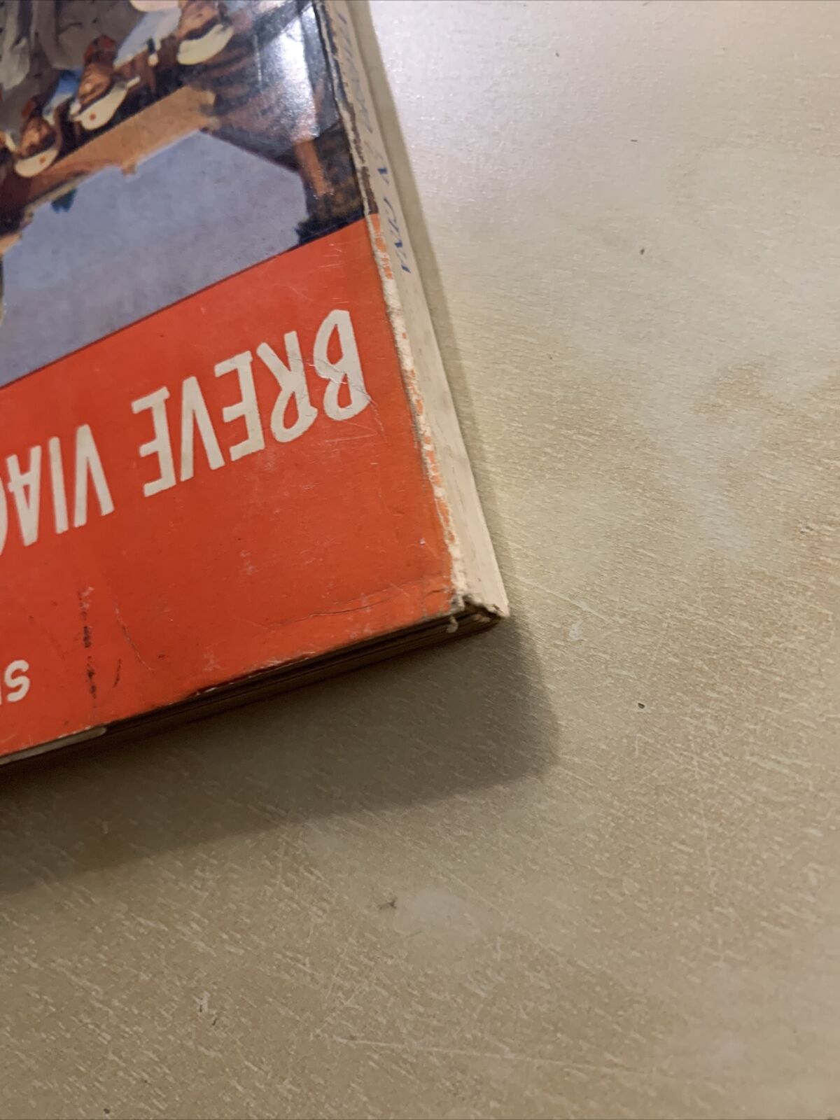 BREVE VIAGGIO IN CINA - Sergio Stocchi, Guastaldo editore 1966 #