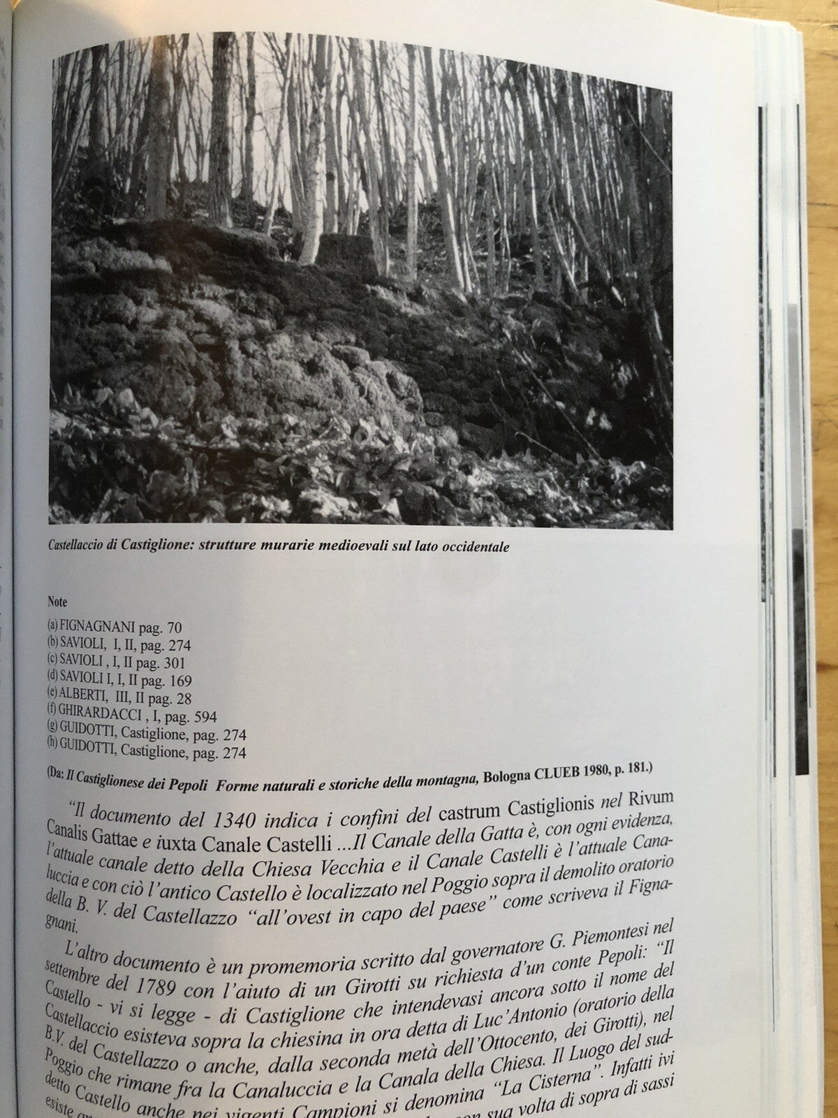 I conti Alberti secoli XI - XIV Michelangelo Abatantuono, Montagna Bologna Prato