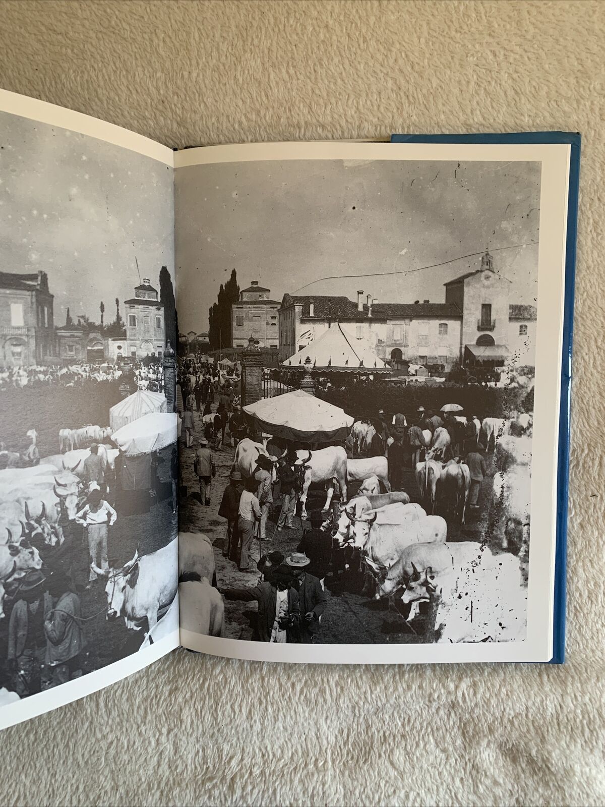 Le fotografie Bologna Emilia Romagna. Poppi Pietro, Romagnoli Arnaldo 2 voll.