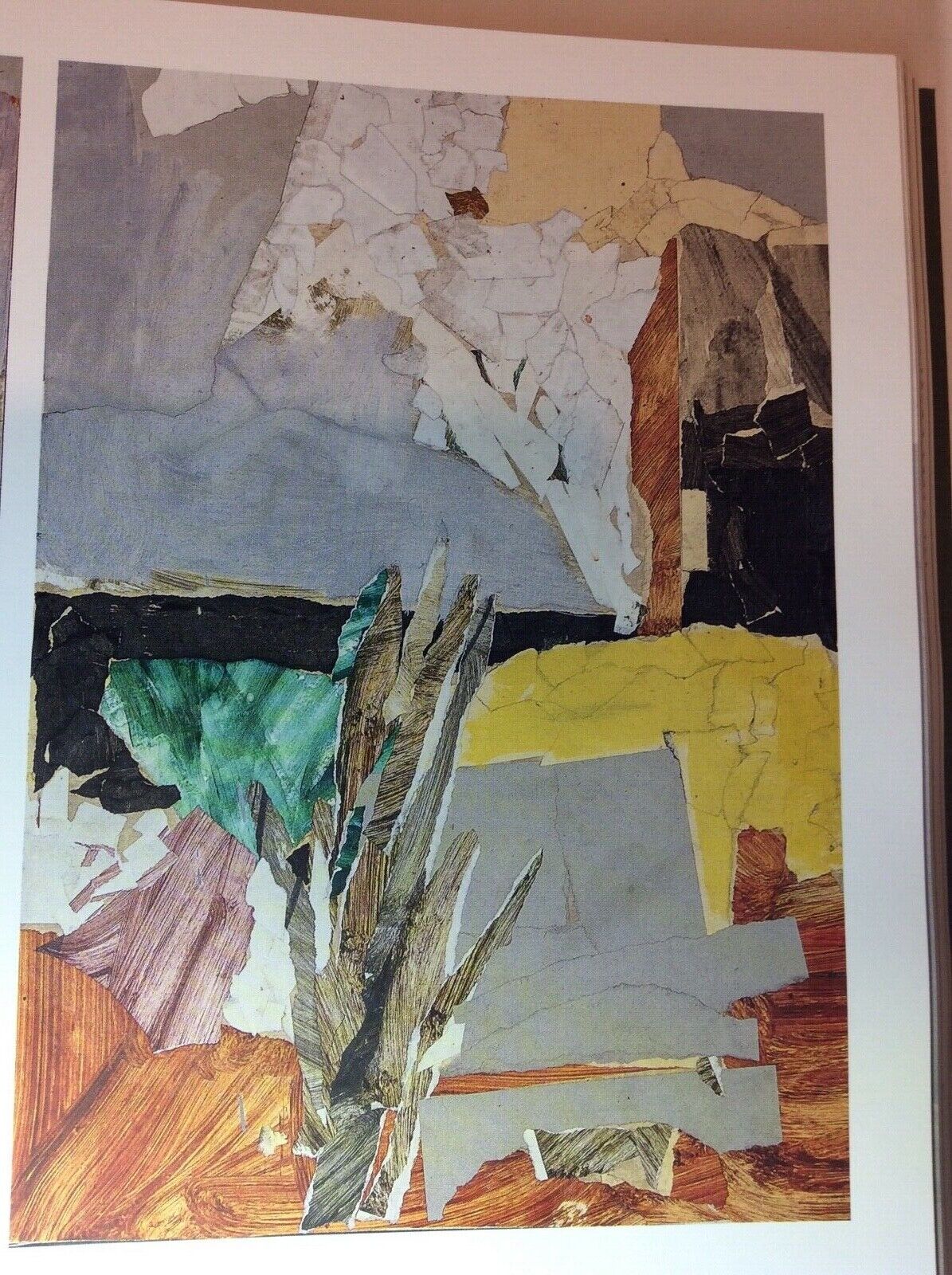 ATLANTE DEI MARGINI, DELLE SUPERFICI E DEI FRAMMENTI.SELVATICO (14) 2019