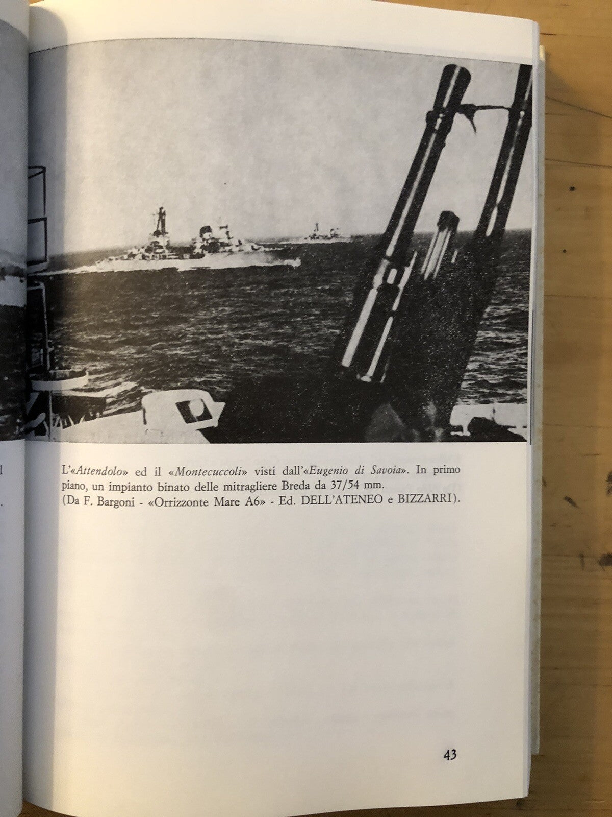 Un alcione dalle ali spezzate, parte seconda Il Volo, Sergio Nesi **autografato*