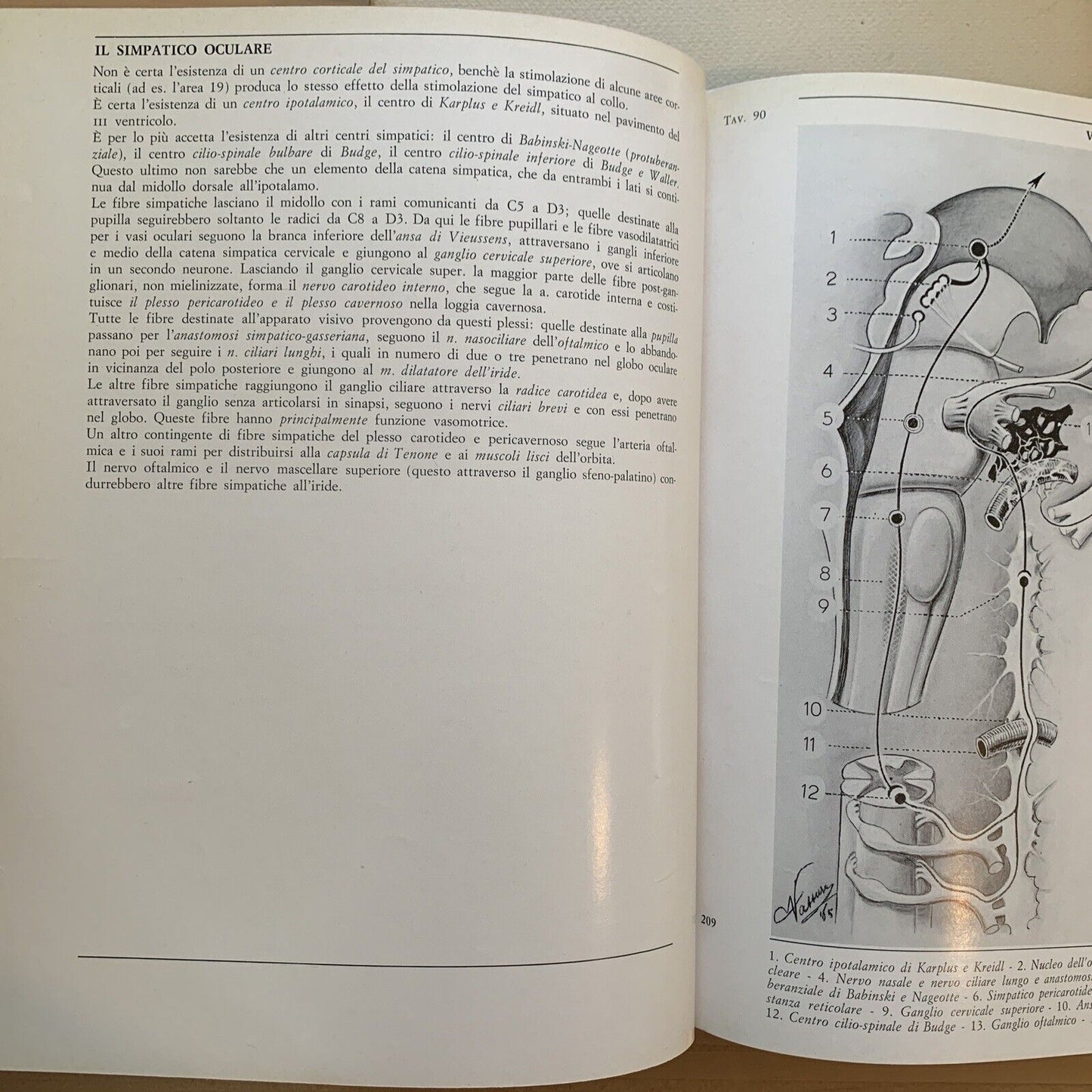 L'OCCHIO - Iconografia anatomica 4 volumi. Giorgio W. Vassura. Italseber