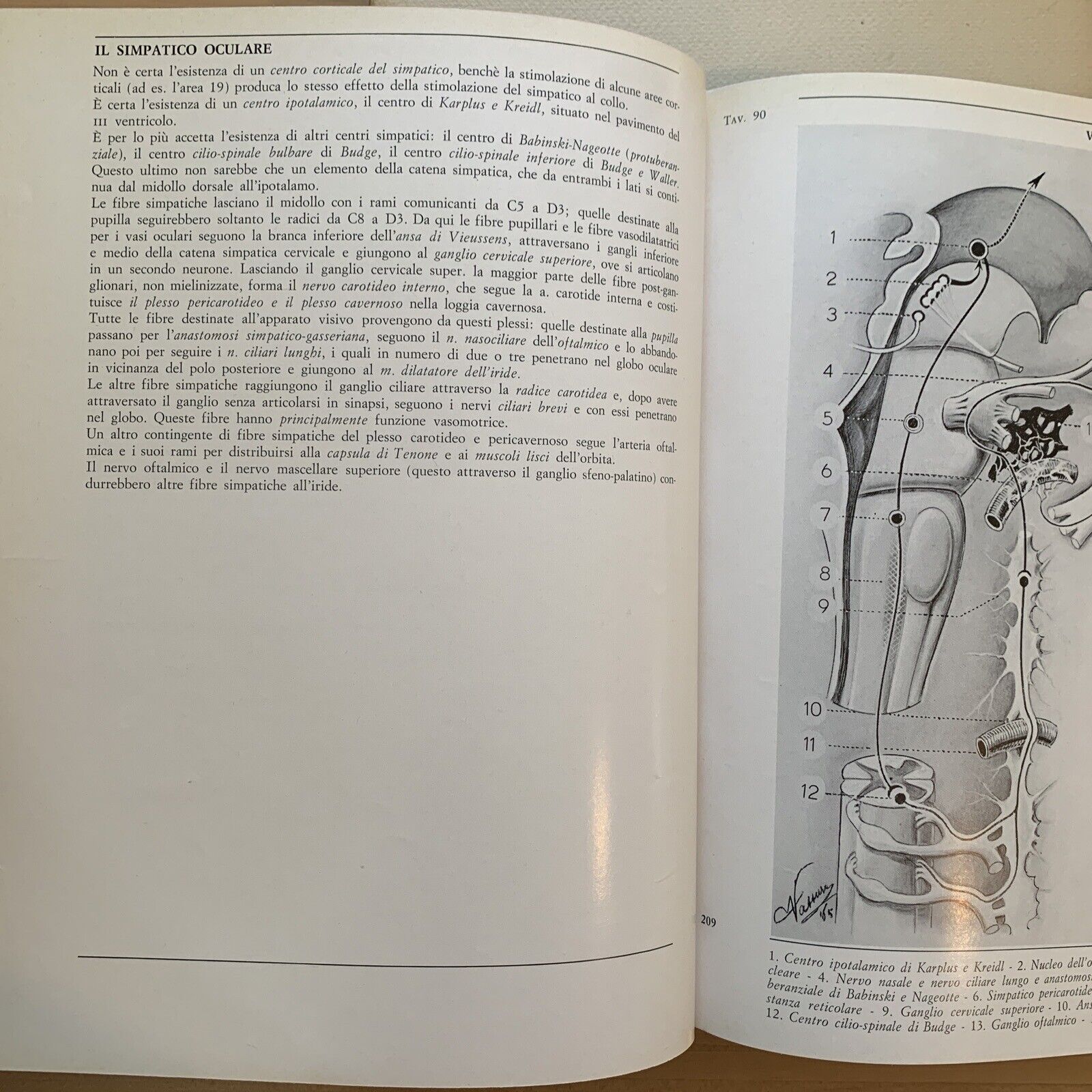 L'OCCHIO - Iconografia anatomica 4 volumi. Giorgio W. Vassura. Italseber