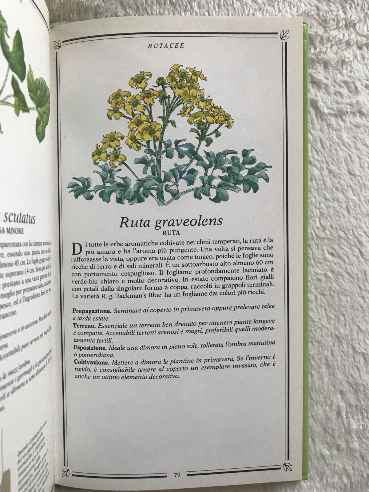 ERBE, Kenneth A. Beckett, Sperling & Kupfer Editori