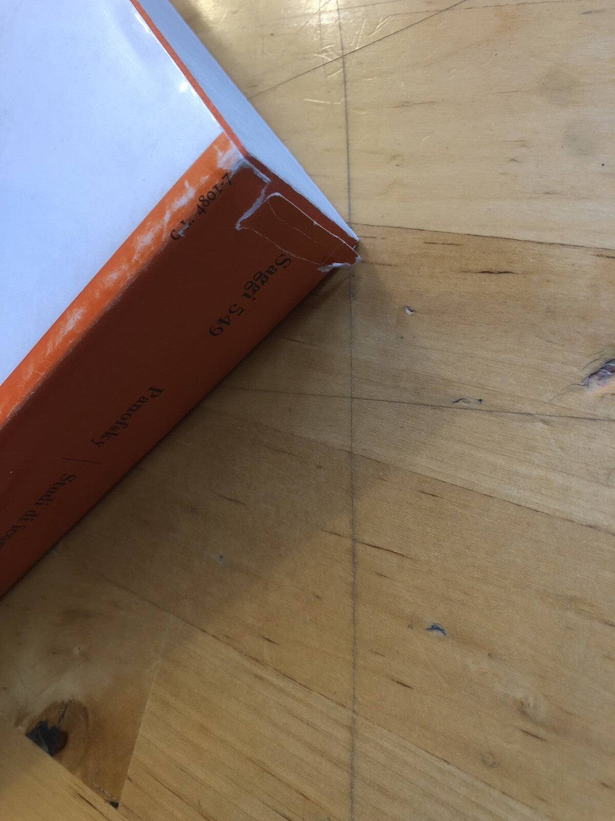 Studi di iconologia, Erwin Panofsky i temi umanistici nell'arte del rinascimento