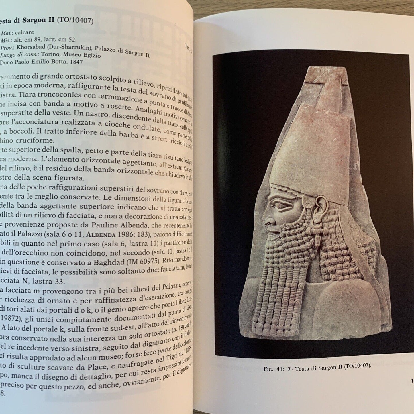 DAI PALAZZI ASSIRI immagini di potere da Assurnasirpal II ad Assurbanipal IX-VII