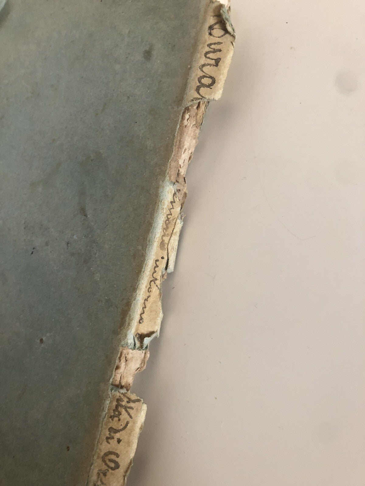 Memorie intorno alla vita del marchese Giovan Gioseffo Orsi bolognese 1735