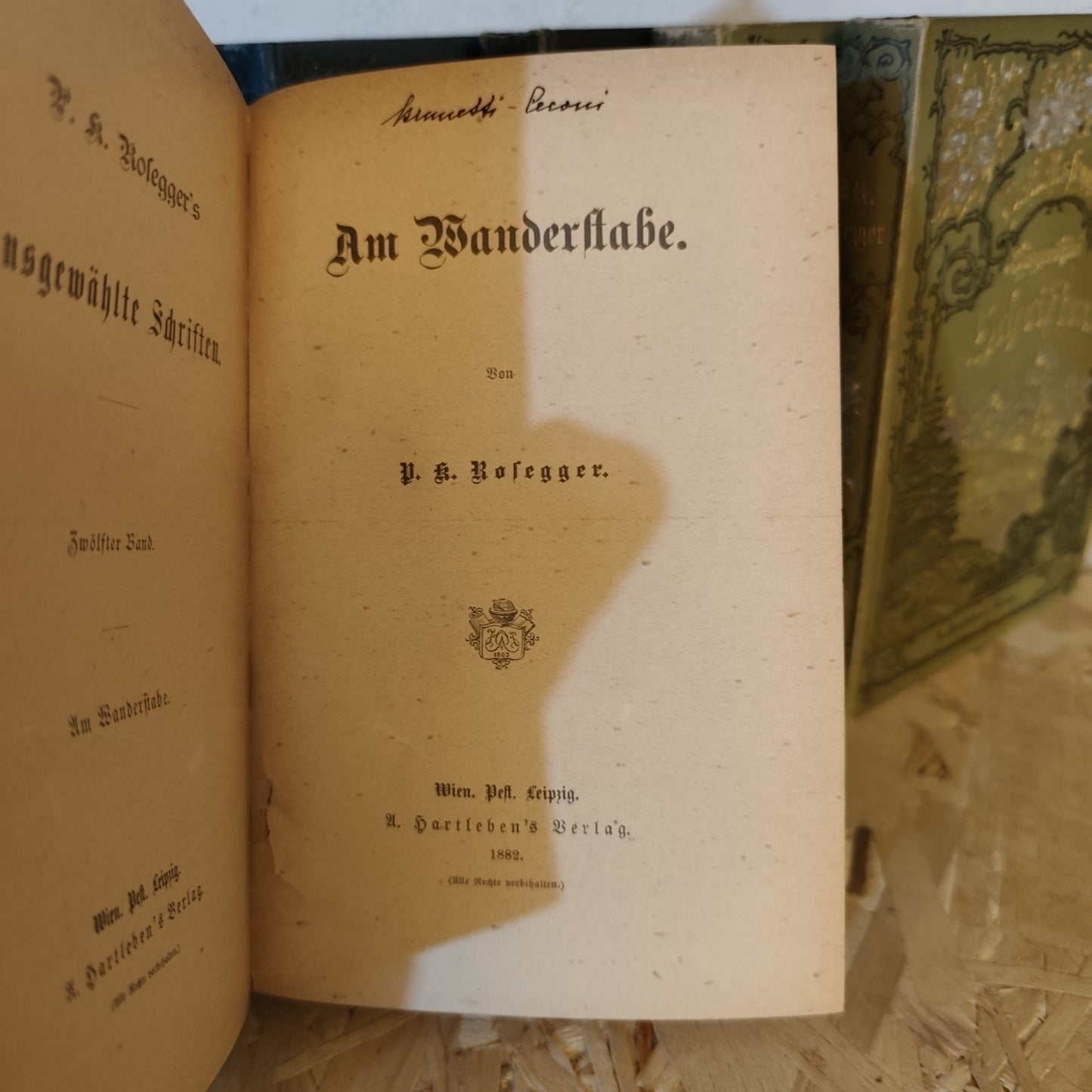 9 Bände P.K. Rosegger - Prachteinbände - A. Hartleben Verlag - Ende 19. Jh.