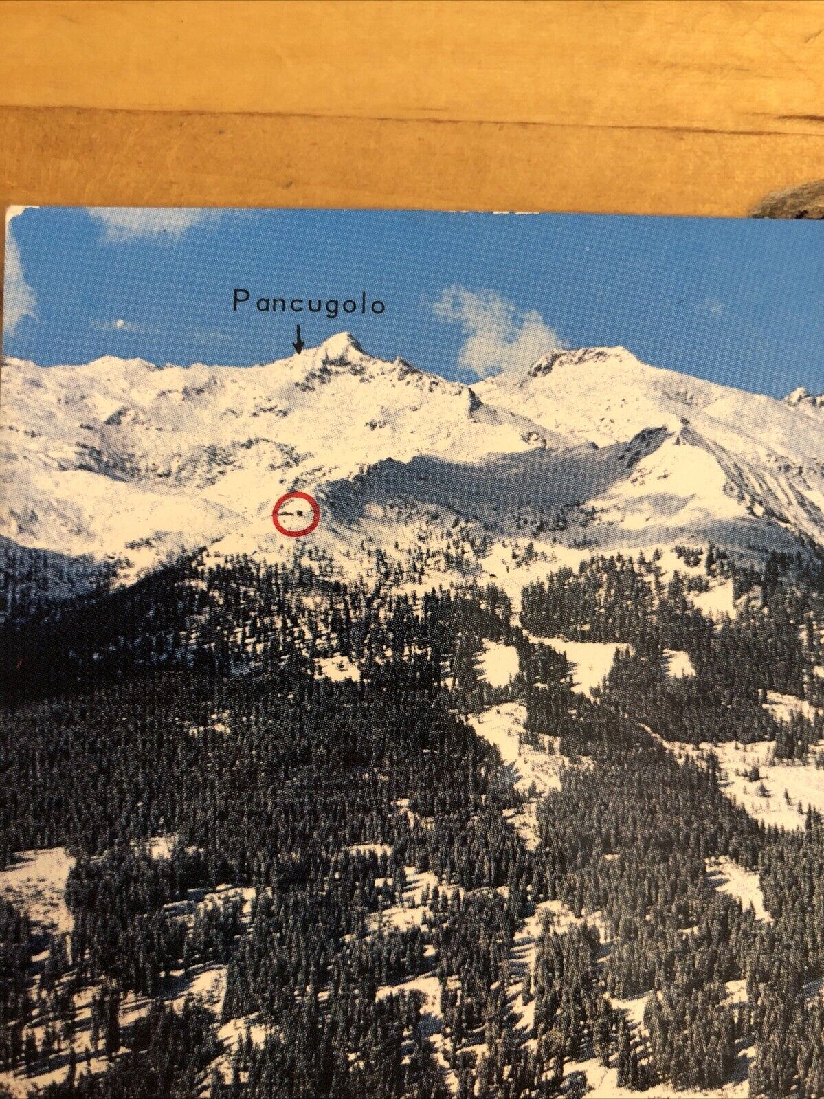 CARTOLINA - DOLOMITI DI BRENTA, MADONNA DI CAMPIGLIO, NON VIAGGIATA