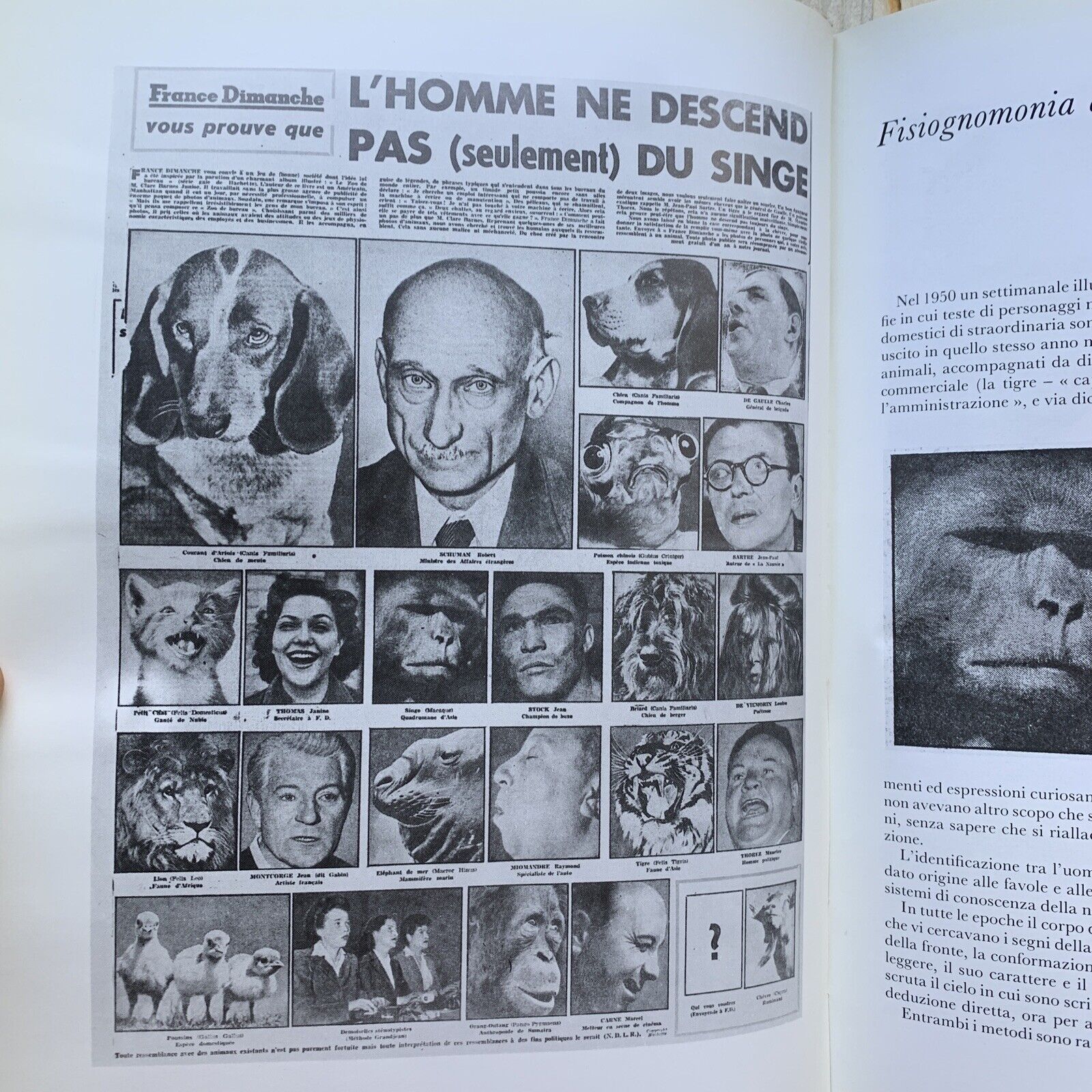ABERRAZIONI - Jurgis Baltrusaitis, Adelphi 1983 #
