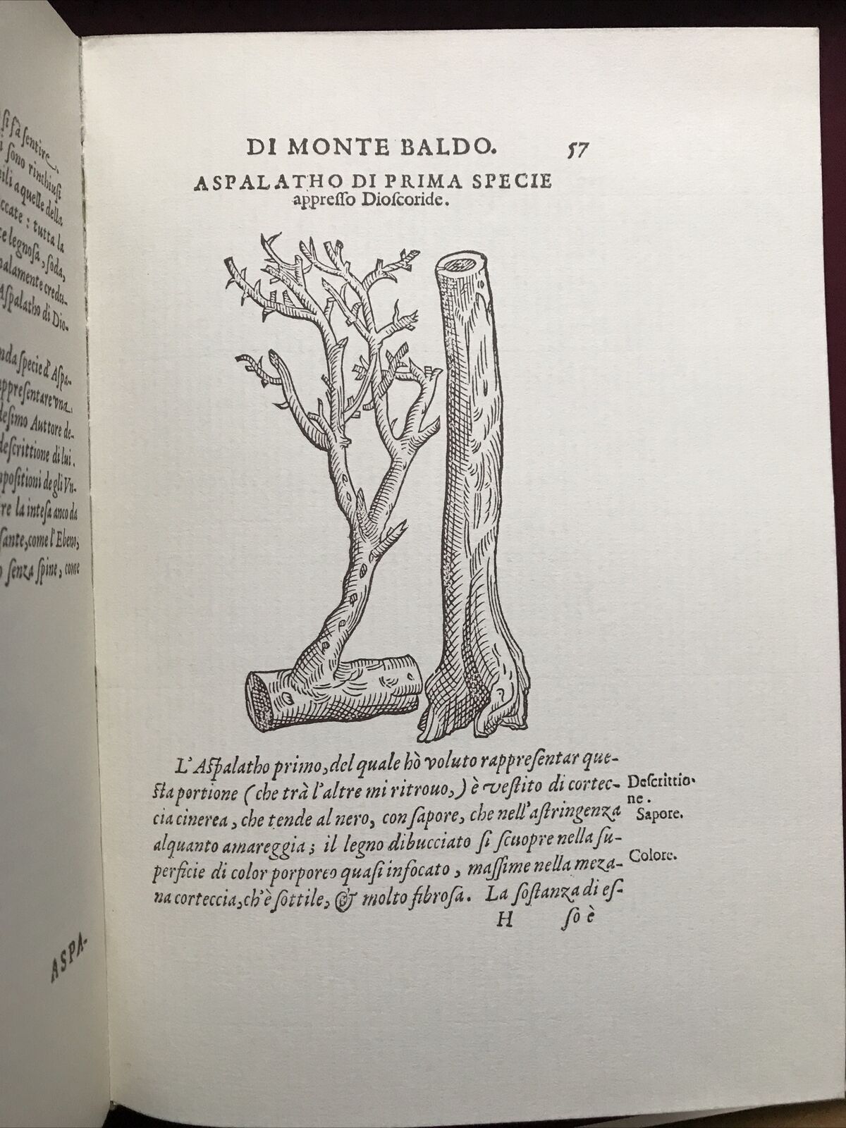 MONTE BALDO, Giovanni Pona. Botanica-Piante rare, facsimile 1972 dell'ed. 1617