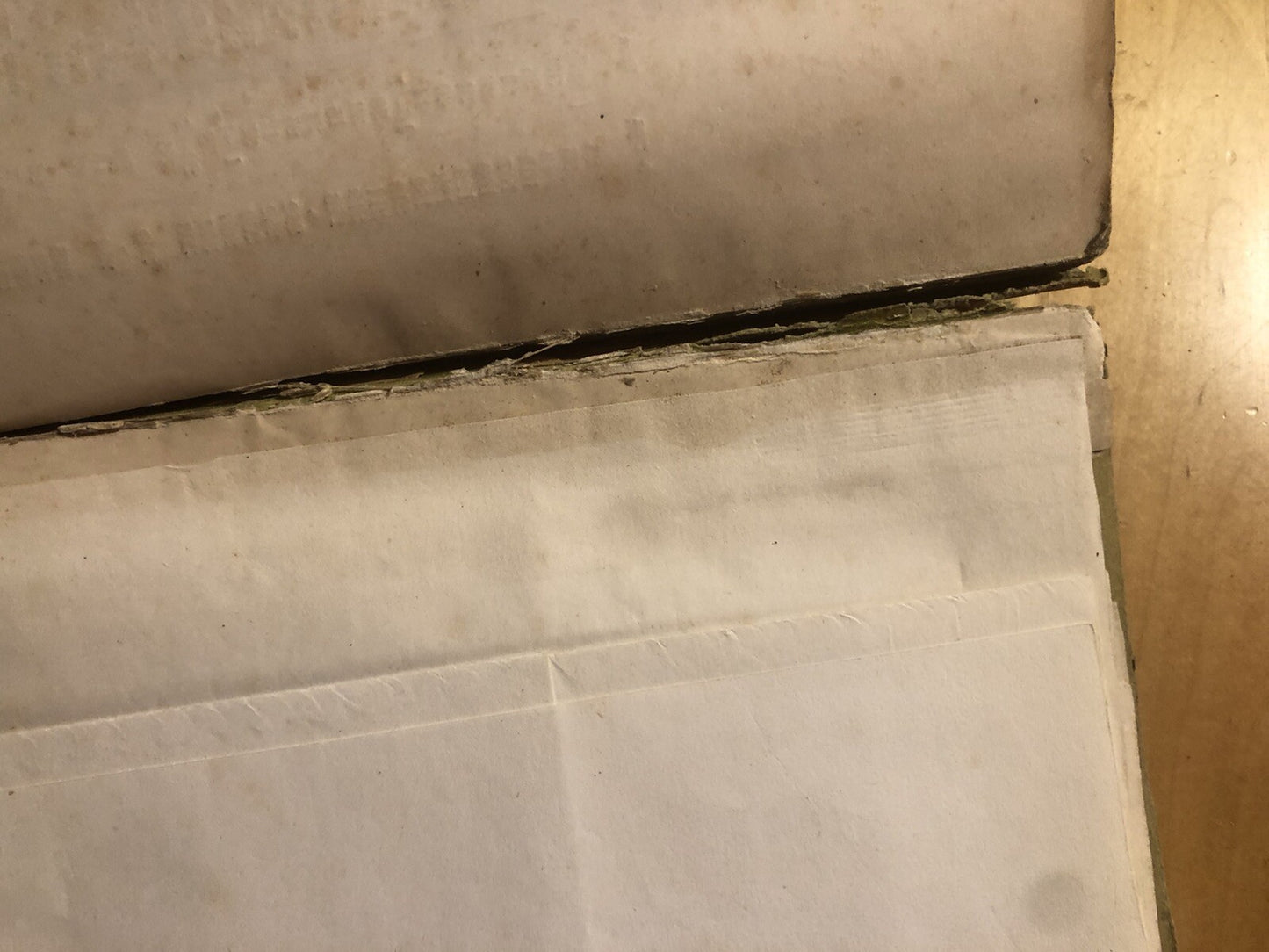 Manfredo Fanti generale d'armata sua vita scritta F. Carandini 1872 G. Civelli