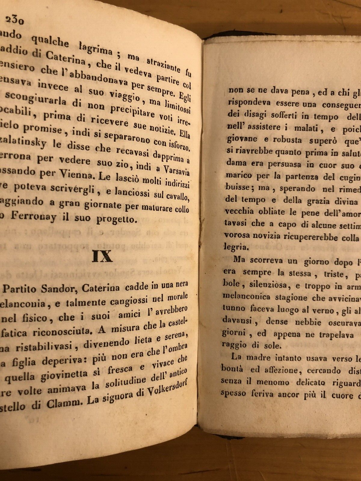 L'Assedio di Vienna - romanzo storico del secolo XVII. Carolina Pichler 1834