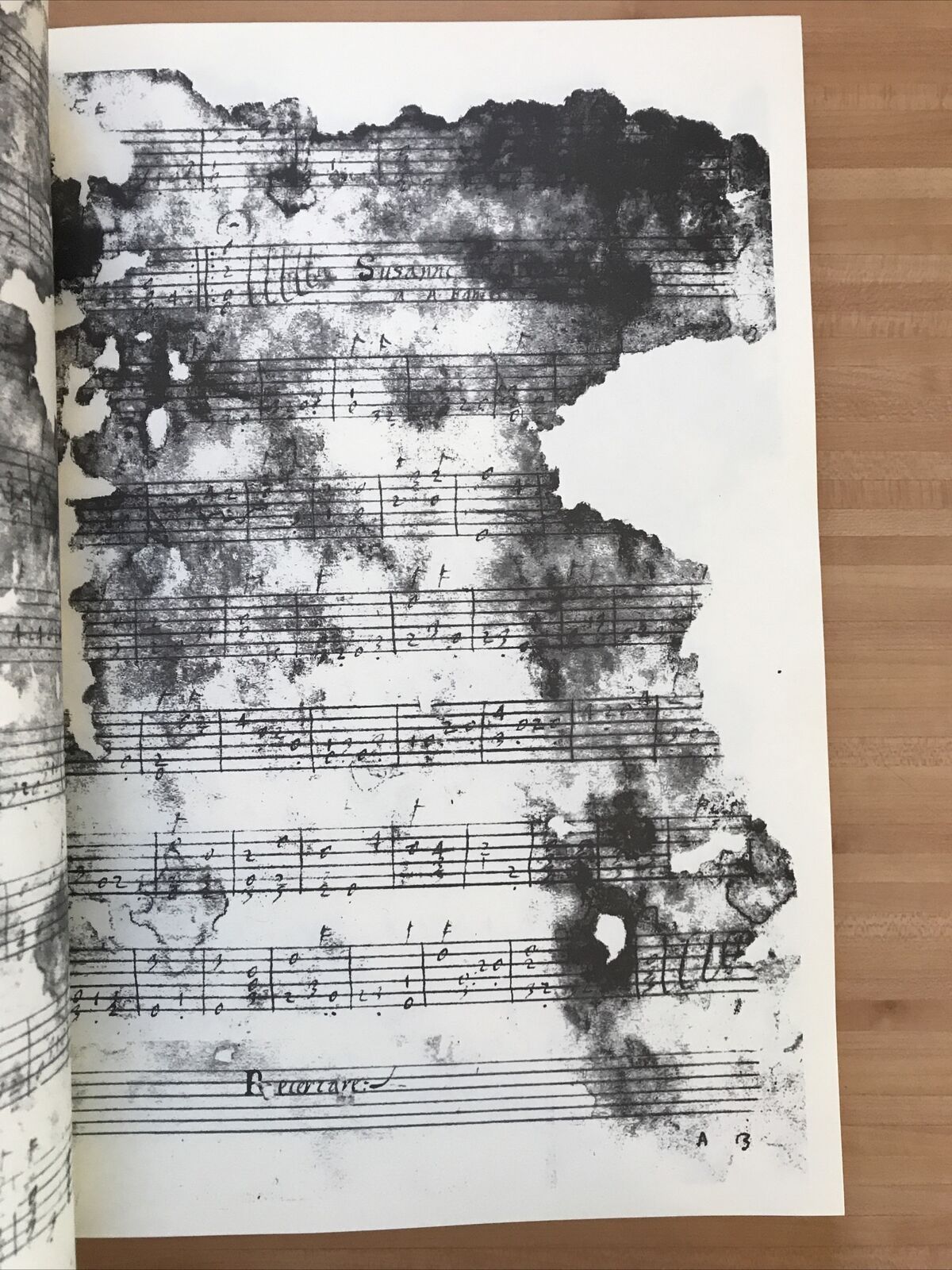 INTAVOLATURA MANOSCRITTA PER LIUTO,G. Pacolini, Castelfr. Veneto, F. Rossi Forni