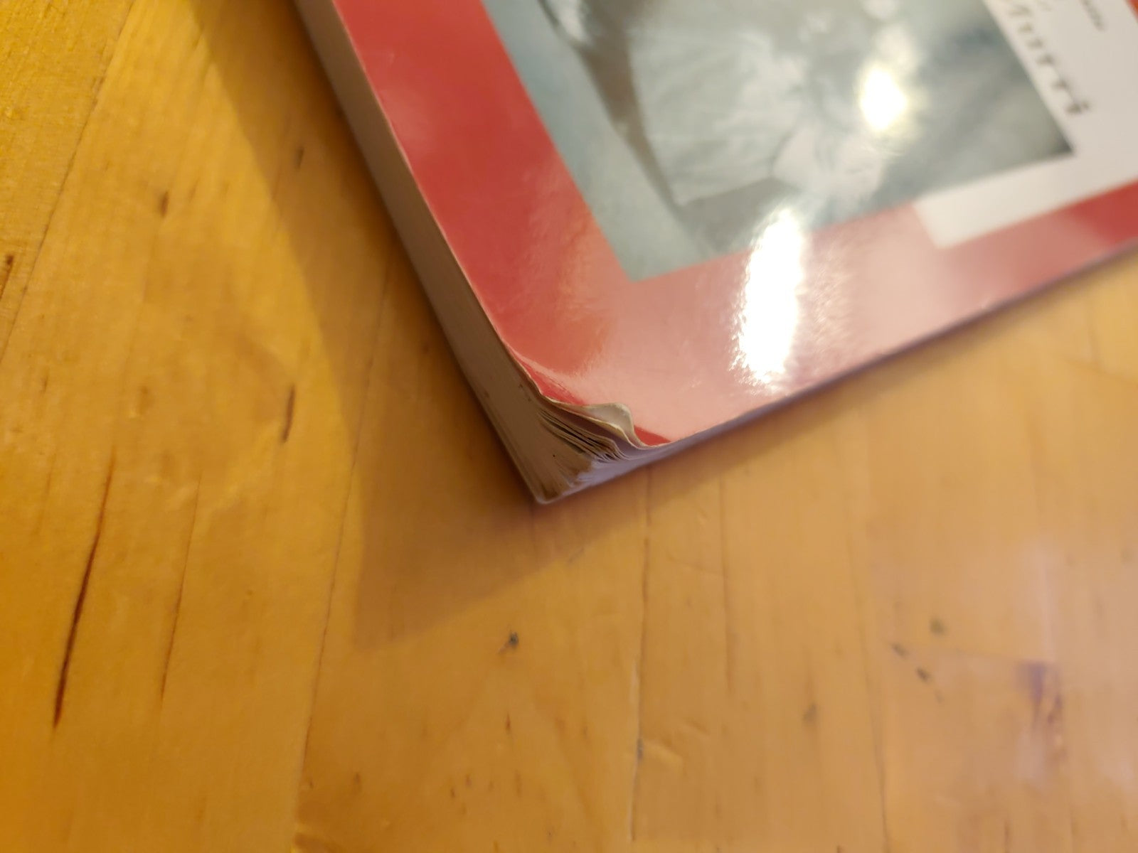 La verità sulla mia famiglia e sul delitto Murri - Gianna Murri. Pendragon 2003