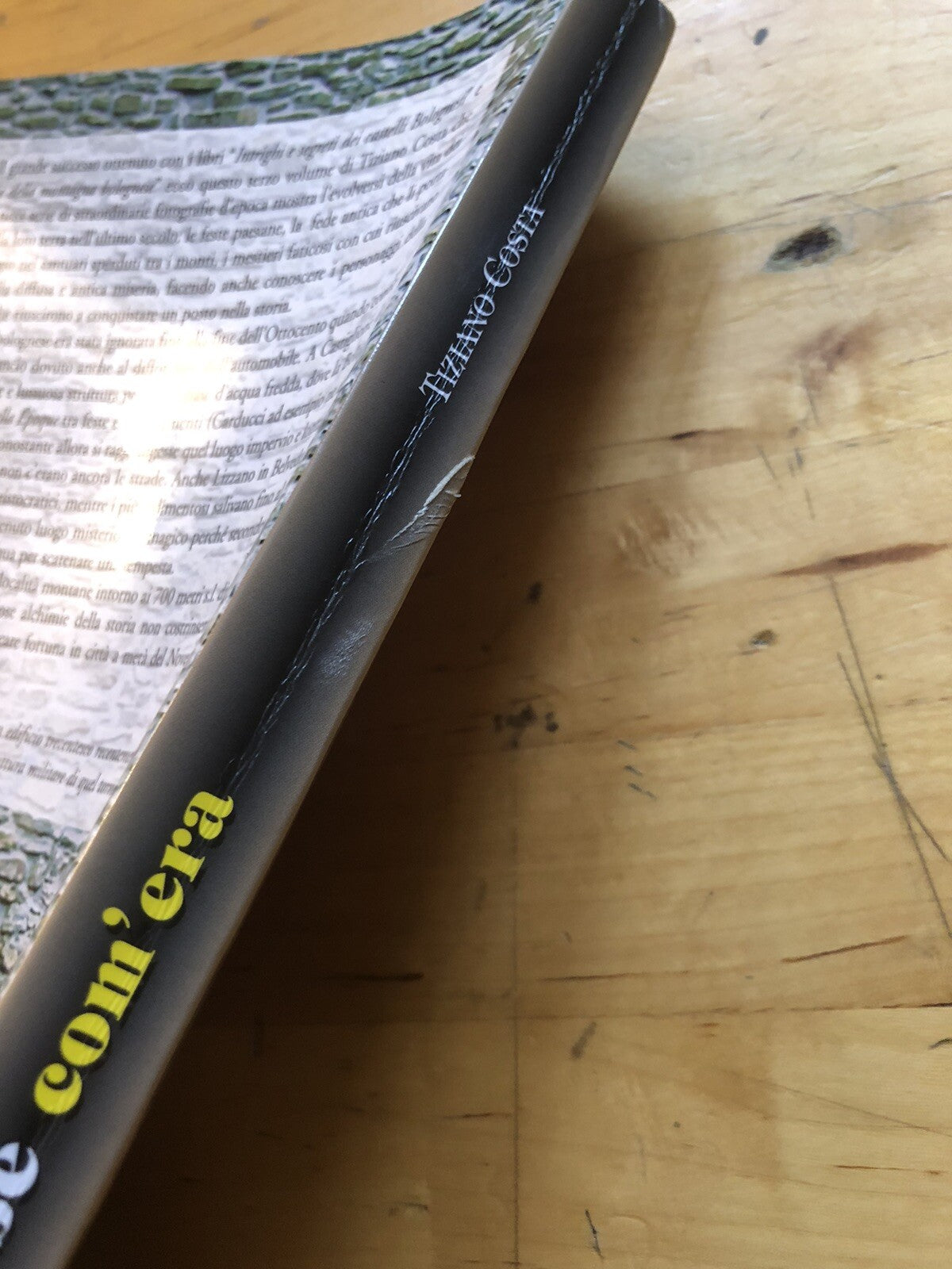 La montagna bolognese com'era - Storia BOLOGNA Tiziano Costa 2006