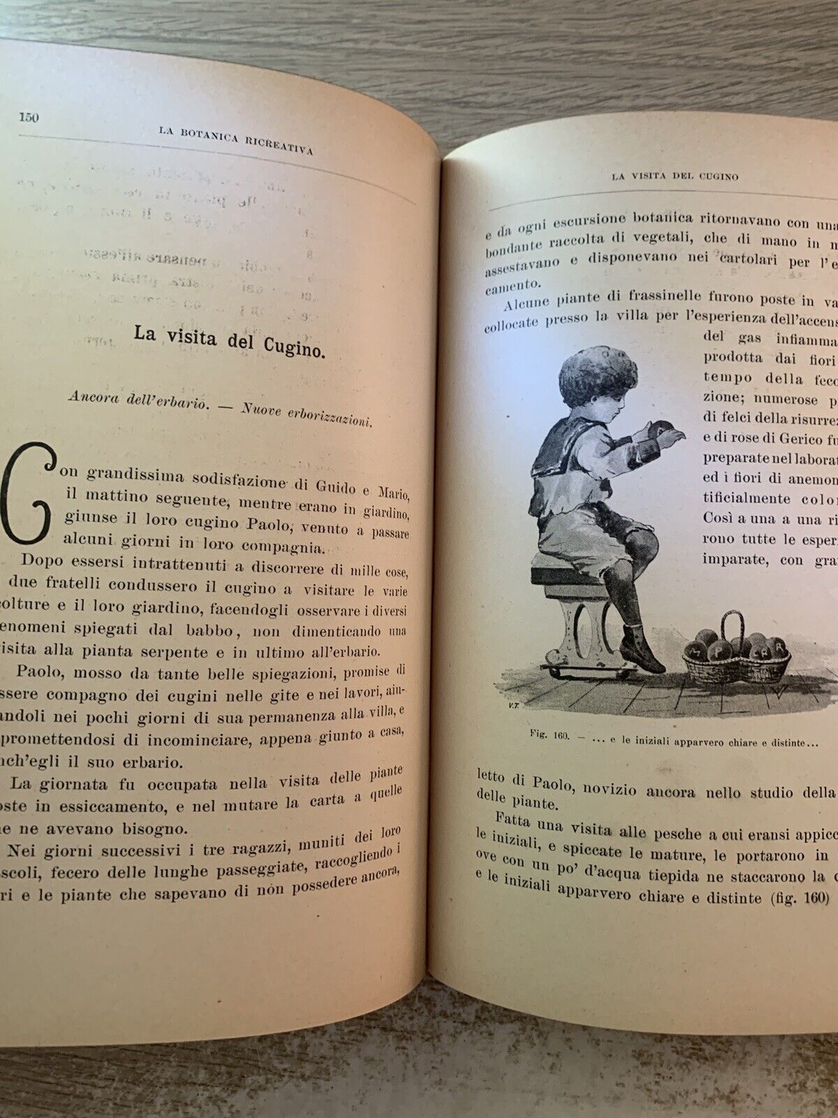 La Botanica Ricreativa, Giuseppe Roda. Paravia 1907 meraviglie della vegetazione