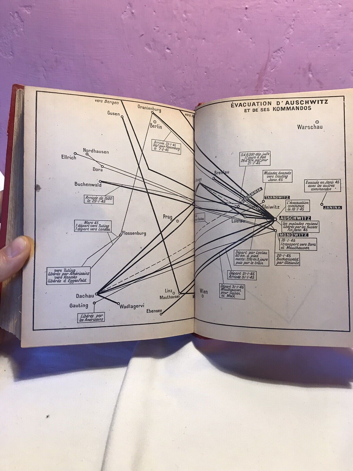Les Jours De Notre Mort, David Rousset, Editions De Pavois Paris 1947
