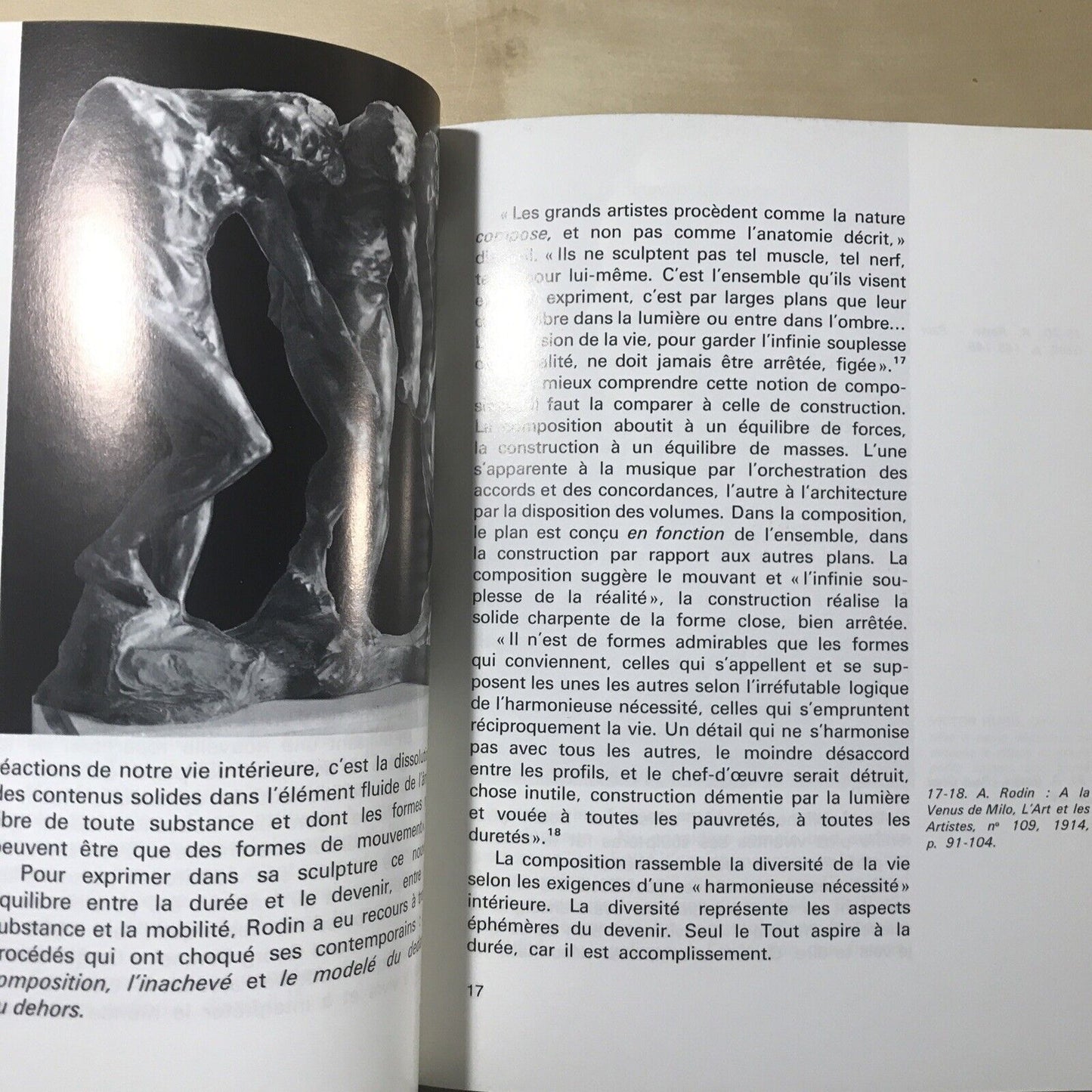 RODIN - Ionel Jianou, C. Goldscheider 1990