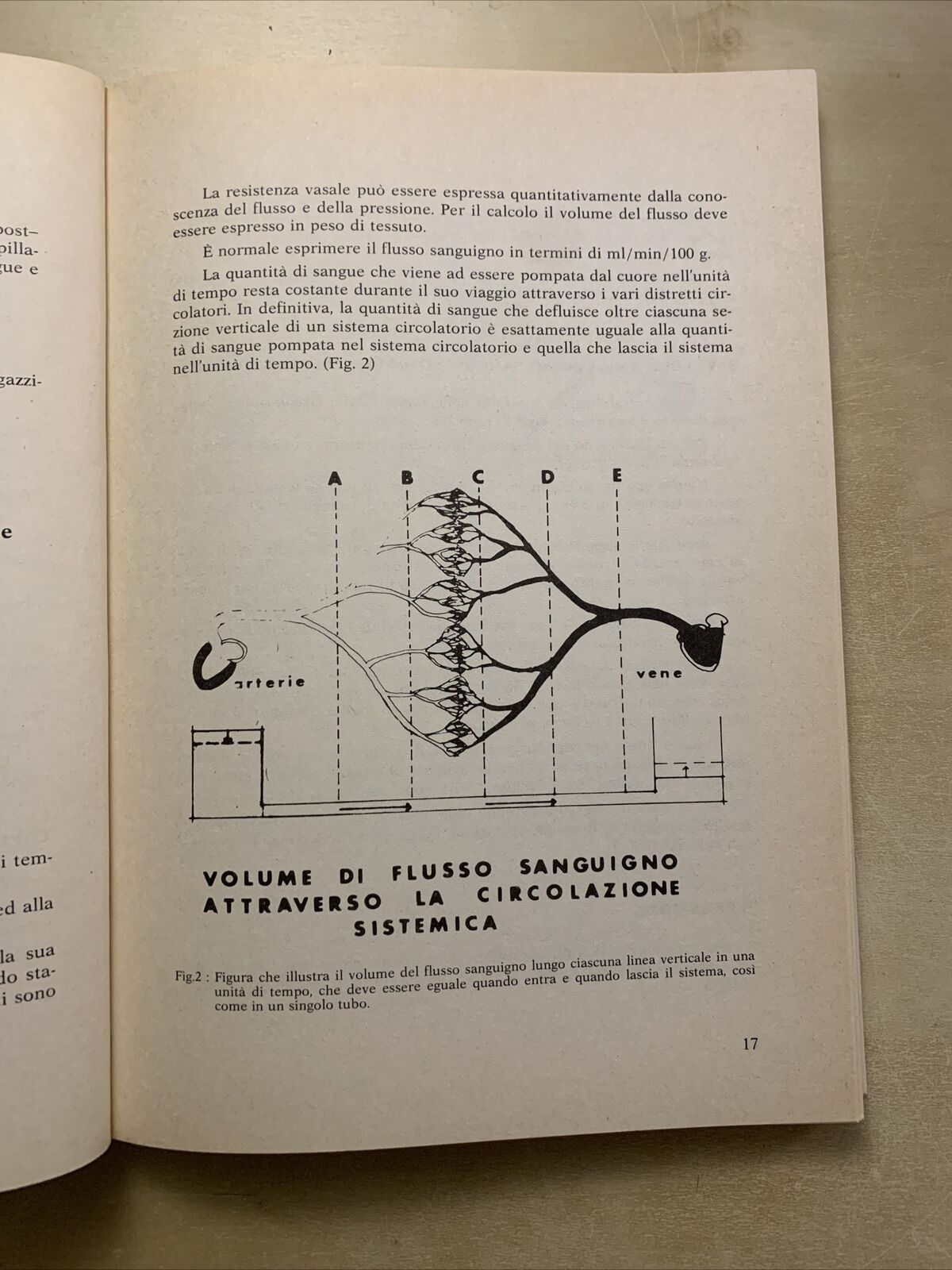 Circolazione oculare e dinamica dei liquidi oculari - Severino Cioli 1981 Nobili