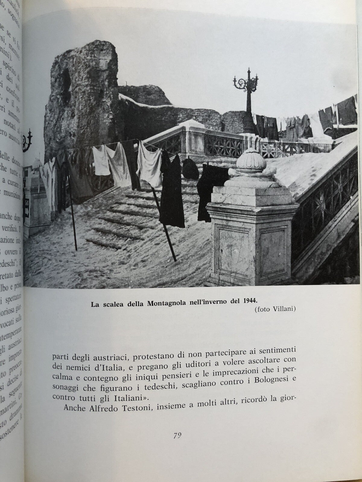 L'antica Università di Bologna, Bologna dimensione Montagnola, Athos Vianelli