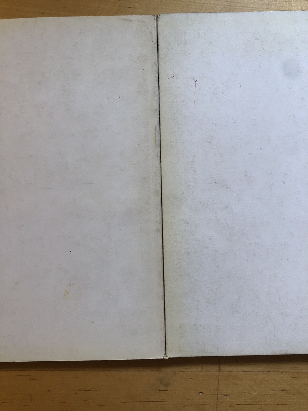 L'antica Università di Bologna, Bologna dimensione Montagnola, Athos Vianelli