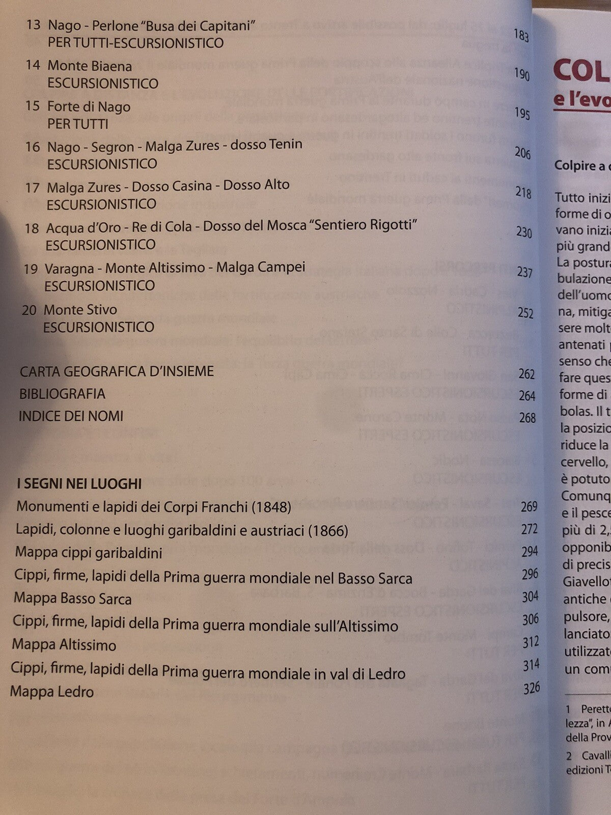 Sentieri di confine, Alto Garda, Ledro. D. Riccadonna M. Zattera Trentino guerra