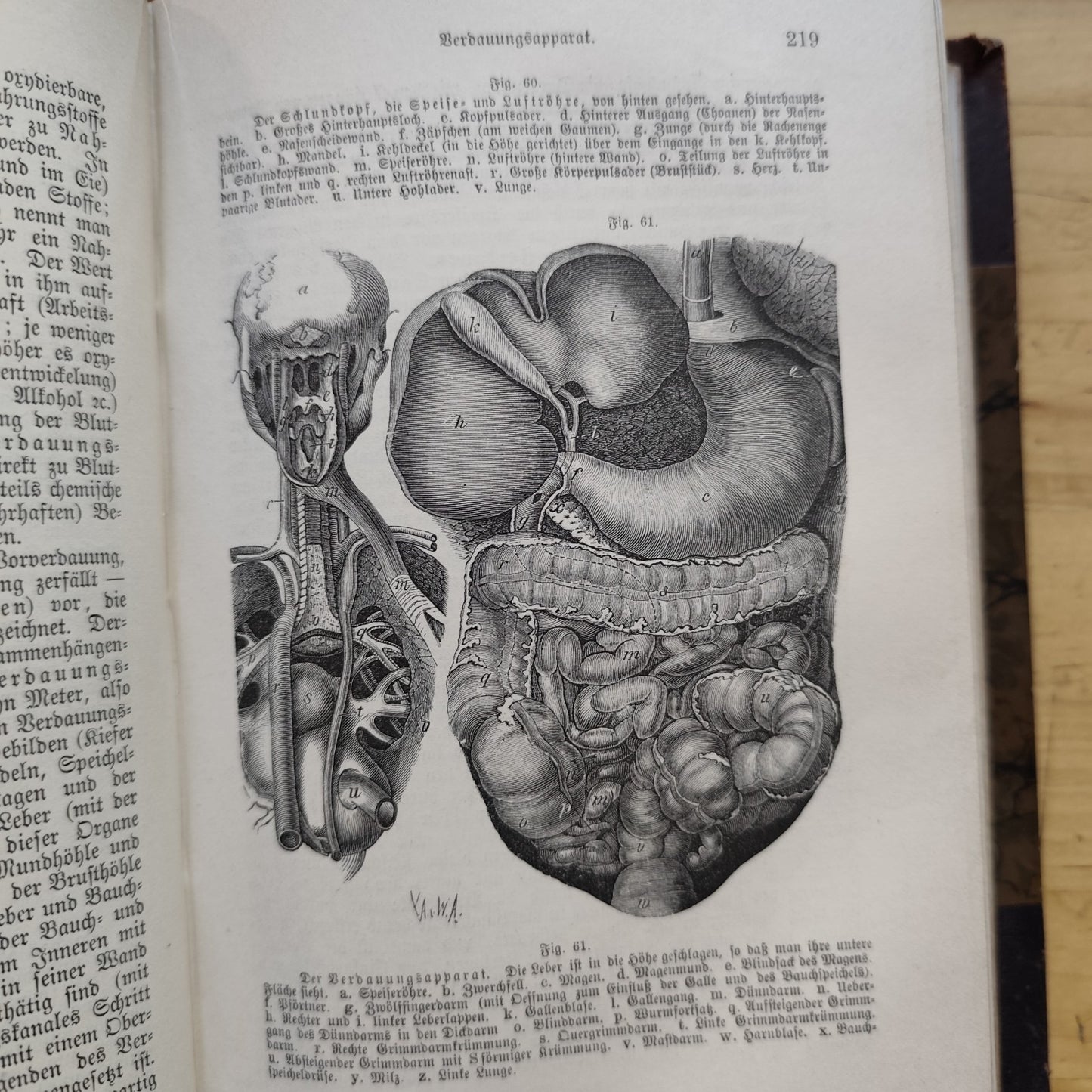 Das Buch vom Gesunden und kranken menschen - Ernst Bock 1889 Antico testo medico