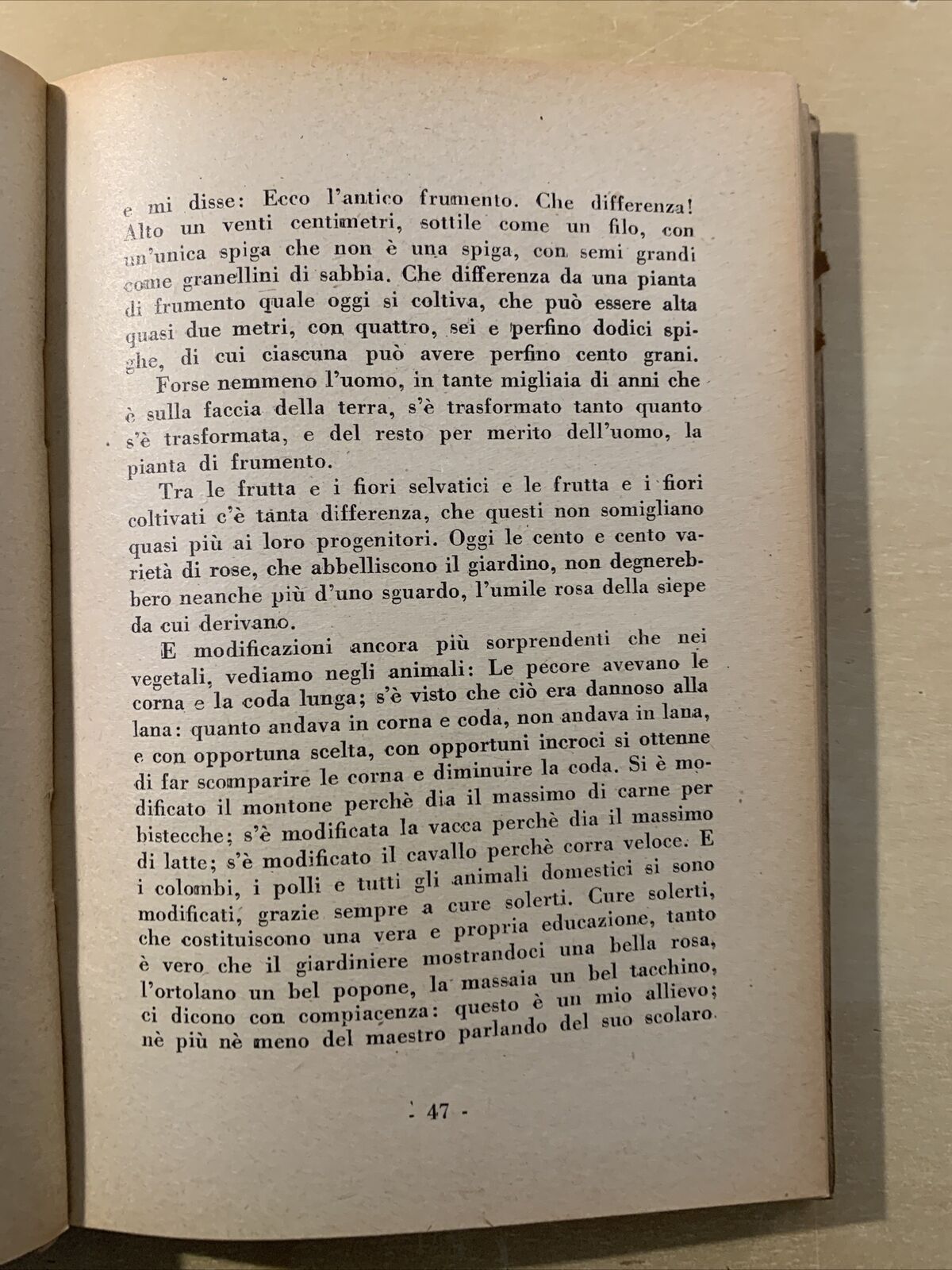 CONFERENZE - Giuseppe Ovio. Roma 1947 #