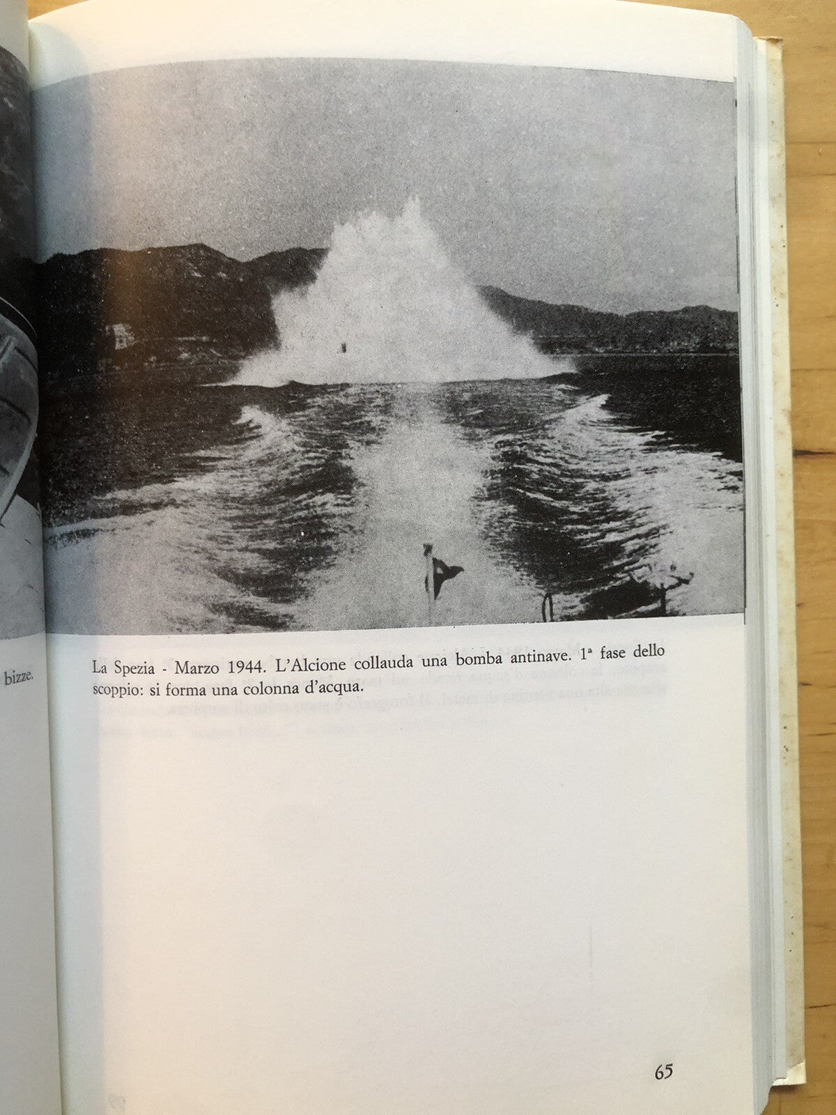 Un alcione dalle ali spezzate Parte terza, La Caduta. Sergio Nesi *Autografato**