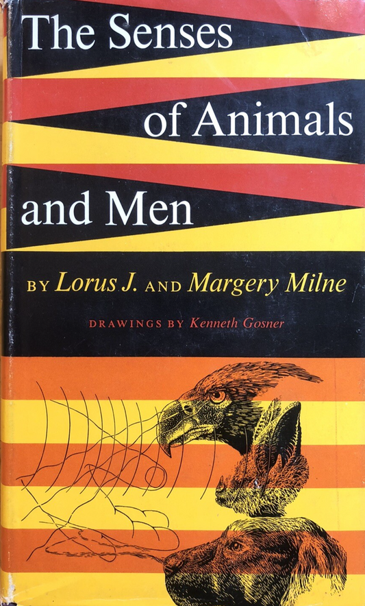 The Senses of Animals and Men - Lorus J. Margery Milne. Atheneum 1962
