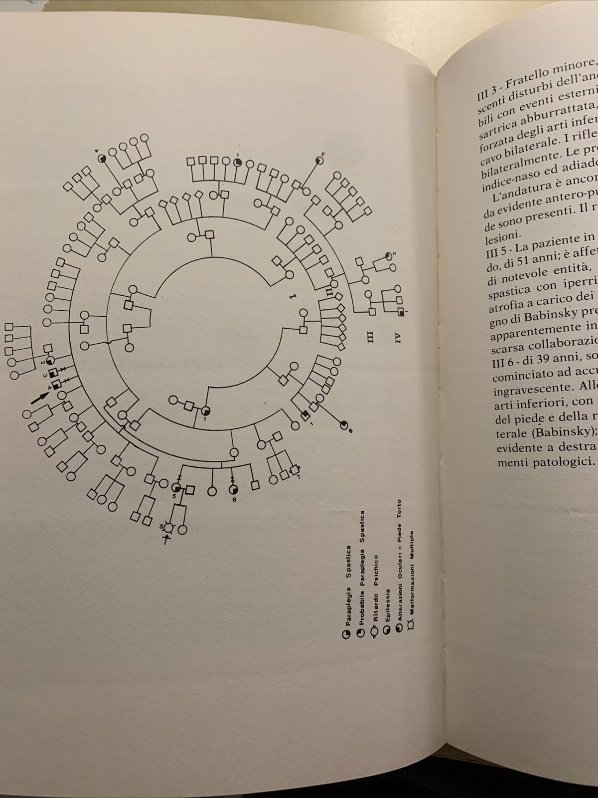 Omaggio a Paride Stefanini - Istituto Universitario di Medicina e Chirurgia 1982