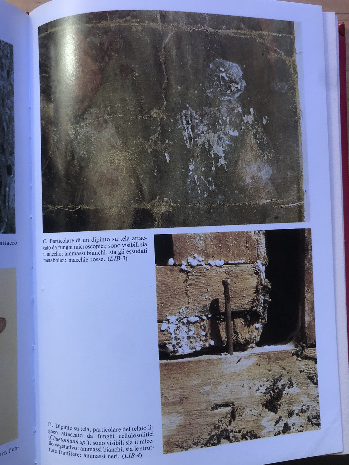 Il restauro e la conservazione degli oggetti d'arte e d'antiquariato, Mursia