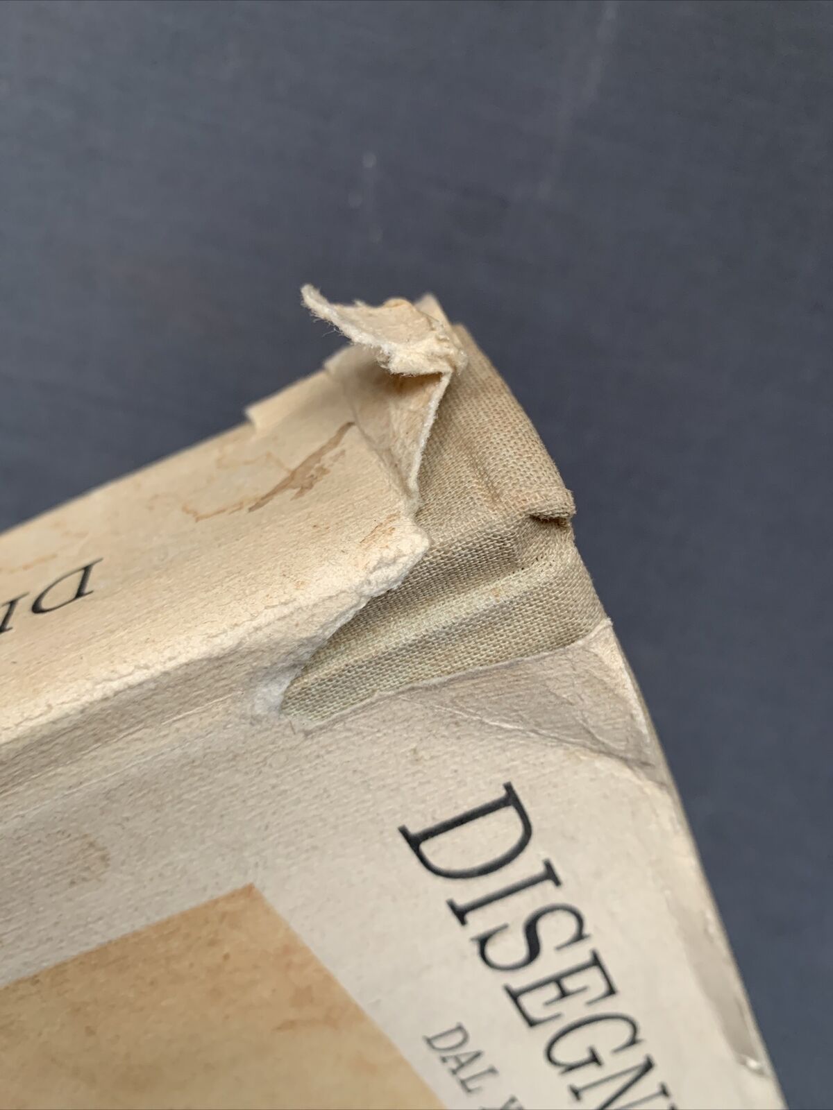 Disegni italiani dal XIII al XIX secolo. Edizioni Minerva 1963