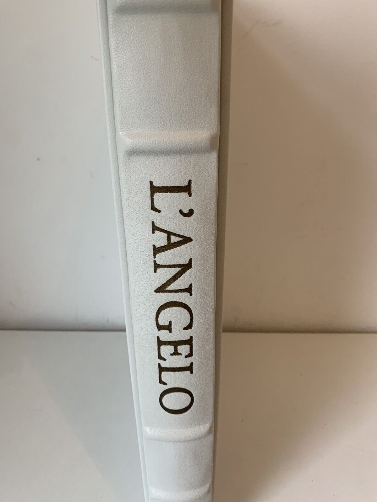 L'Angelo, Elvio Marchionni, FAS fondazione archivio storico 2016