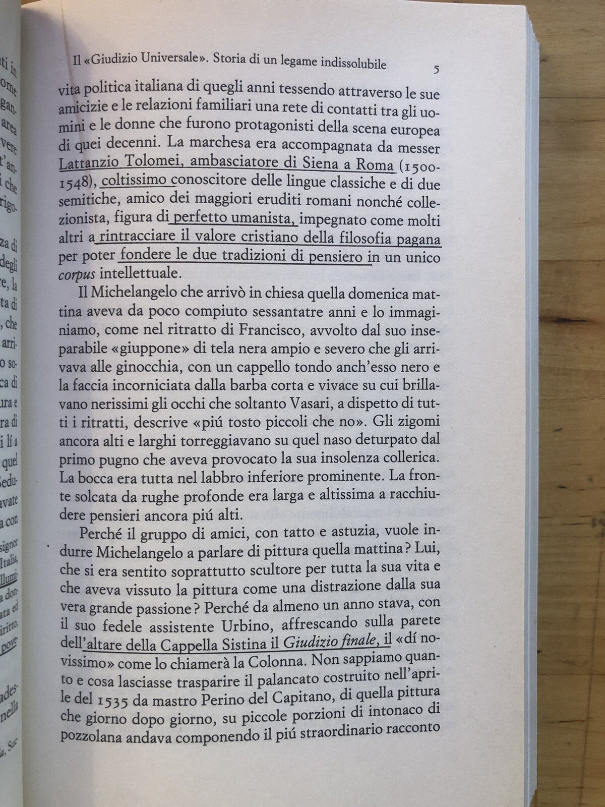 Michelangelo Buonarroti storia di una passione eretica, Antonio Forcellino 2002