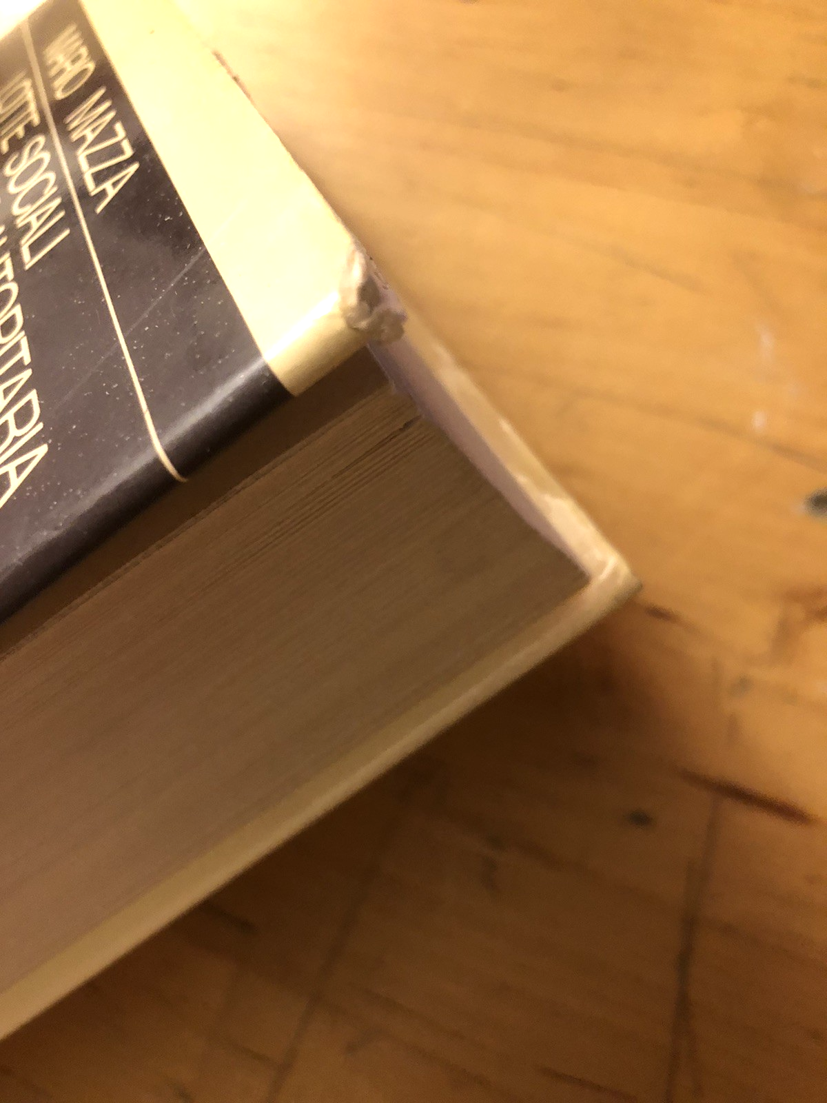 Lotte sociali e restaurazione autoritaria nel III secolo d.c. Mario Mazza, 1973