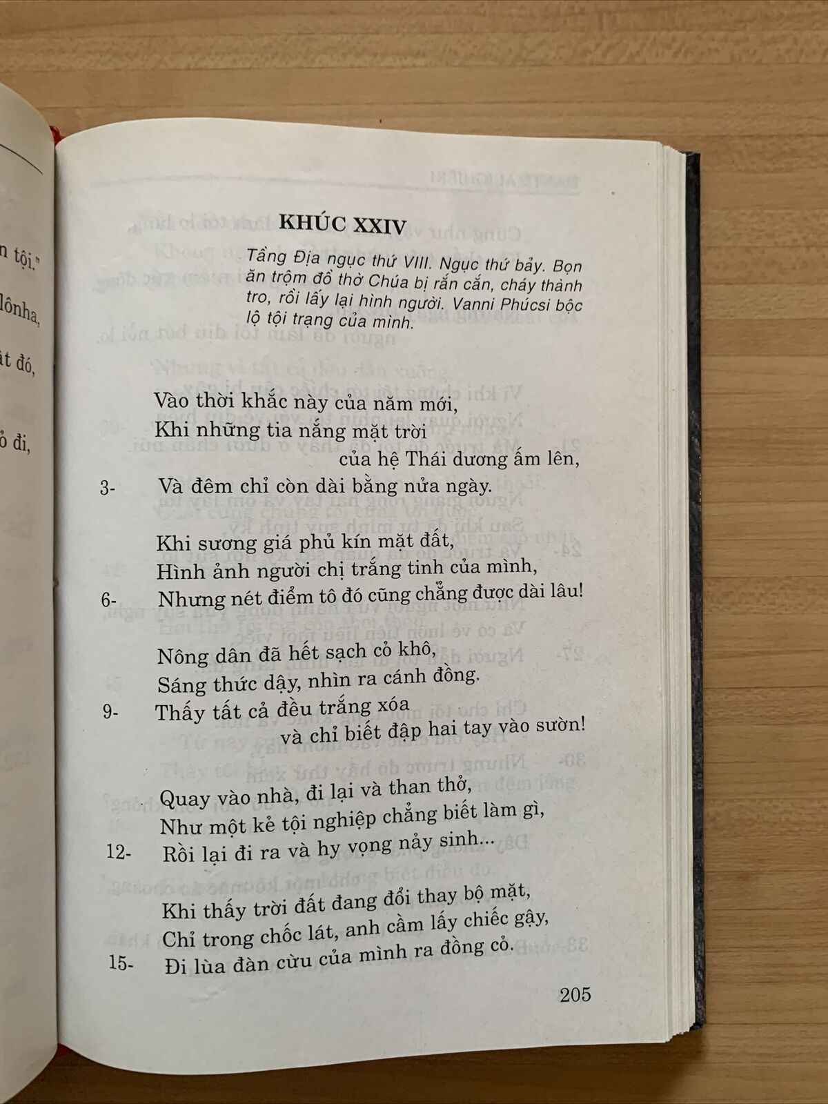 DANTE ALIGHIERI - THAN KHUC DIA NGUC. NHA XUAT BAN KHOA HOC. Giorgio Petrocchi #