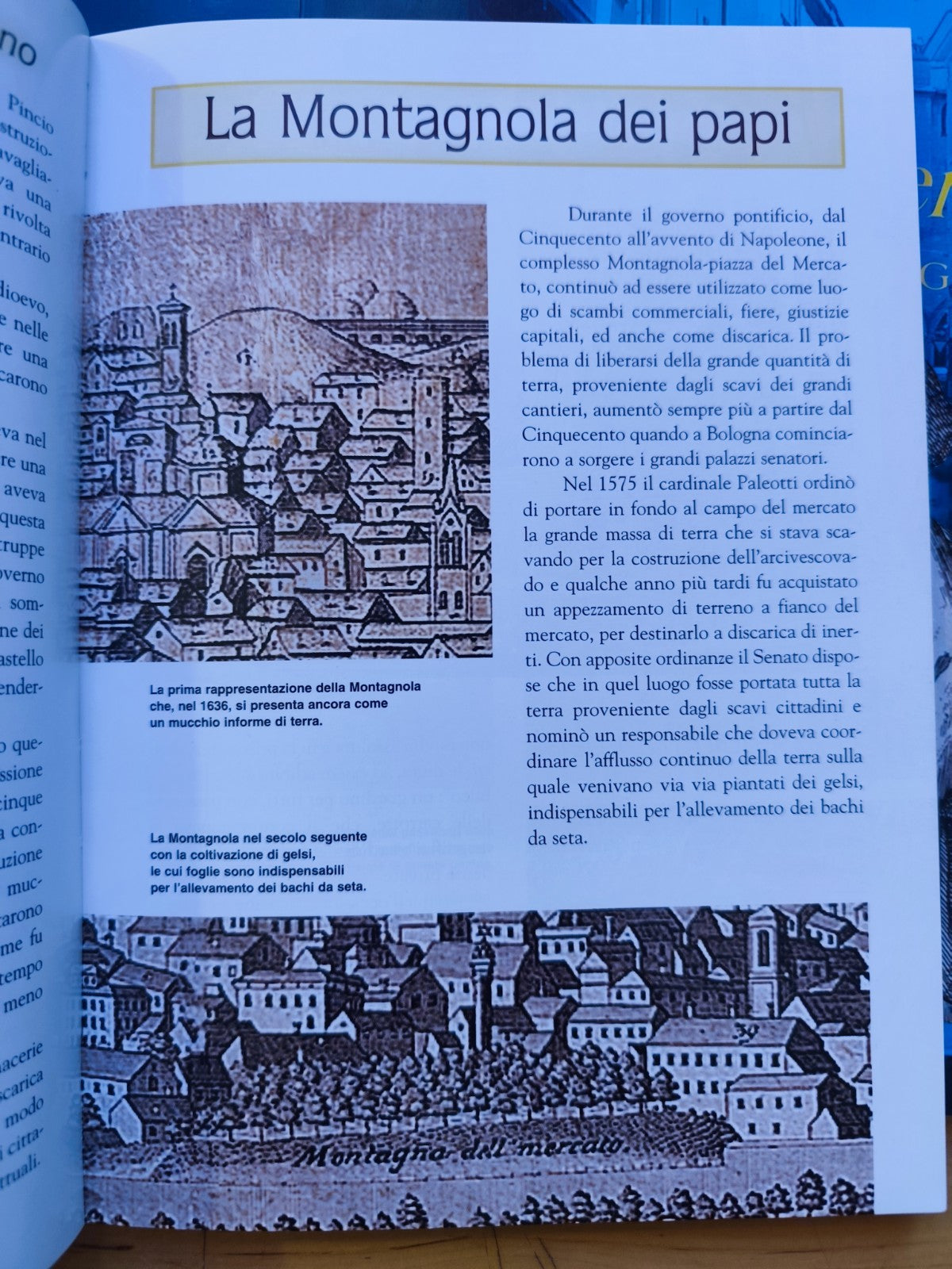 La statua di San Petronio, Il quadrilatero di Bologna, La Montagnola, Costa Poli